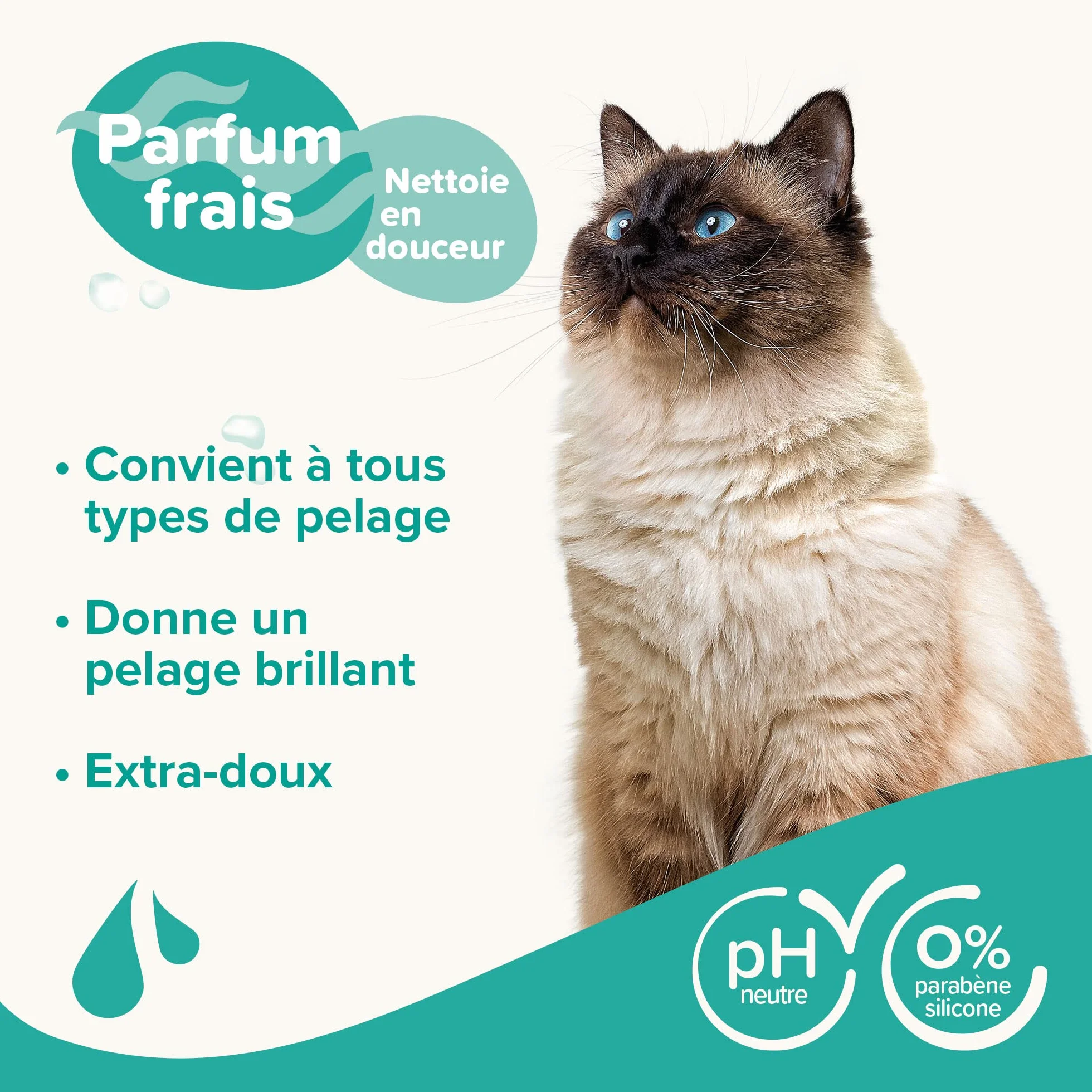 BEAPHAR Shampooing Essentiel Universel pour Chat Extra-Doux 250 ML