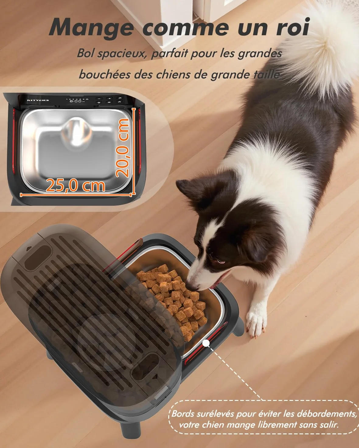 Distributeur Croquettes Chien Automatique, 15L Grande Capacité | Croquettes Jusqu'à 18mm, Support Réglable en 2 Hauteurs, Alerte Niveau Bas, pour Chien de Grande Taille et Chats Multiples