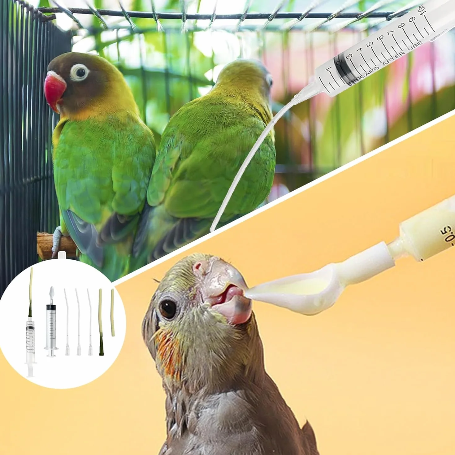 Tuyau d'alimentation pour Oiseaux Seringue 10 ML Acier Inoxydable