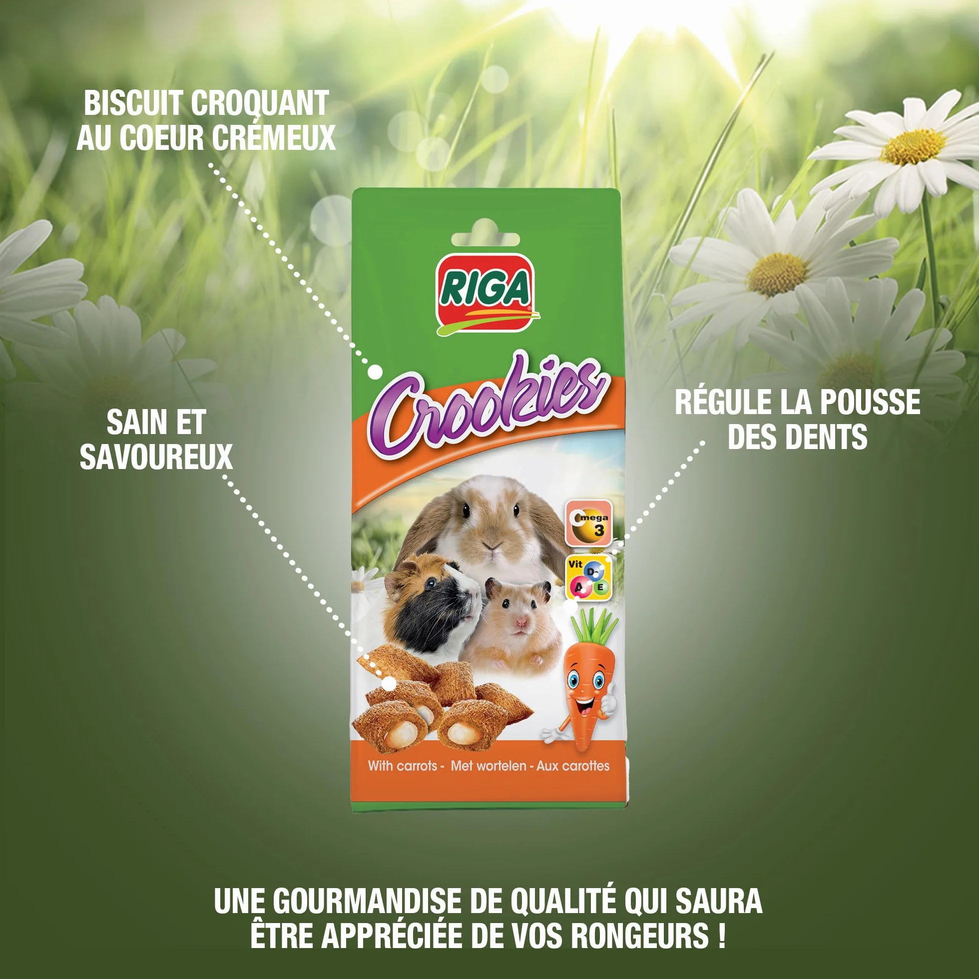 Crookies aux Carottes Biscuits pour Lapins Rongeurs Riche en Vitamines Oméga 3 50 g
