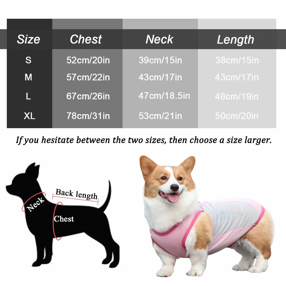 Gilet rafraîchissant pour chien avec protection UV et bande réfléchissante, veste respirante été