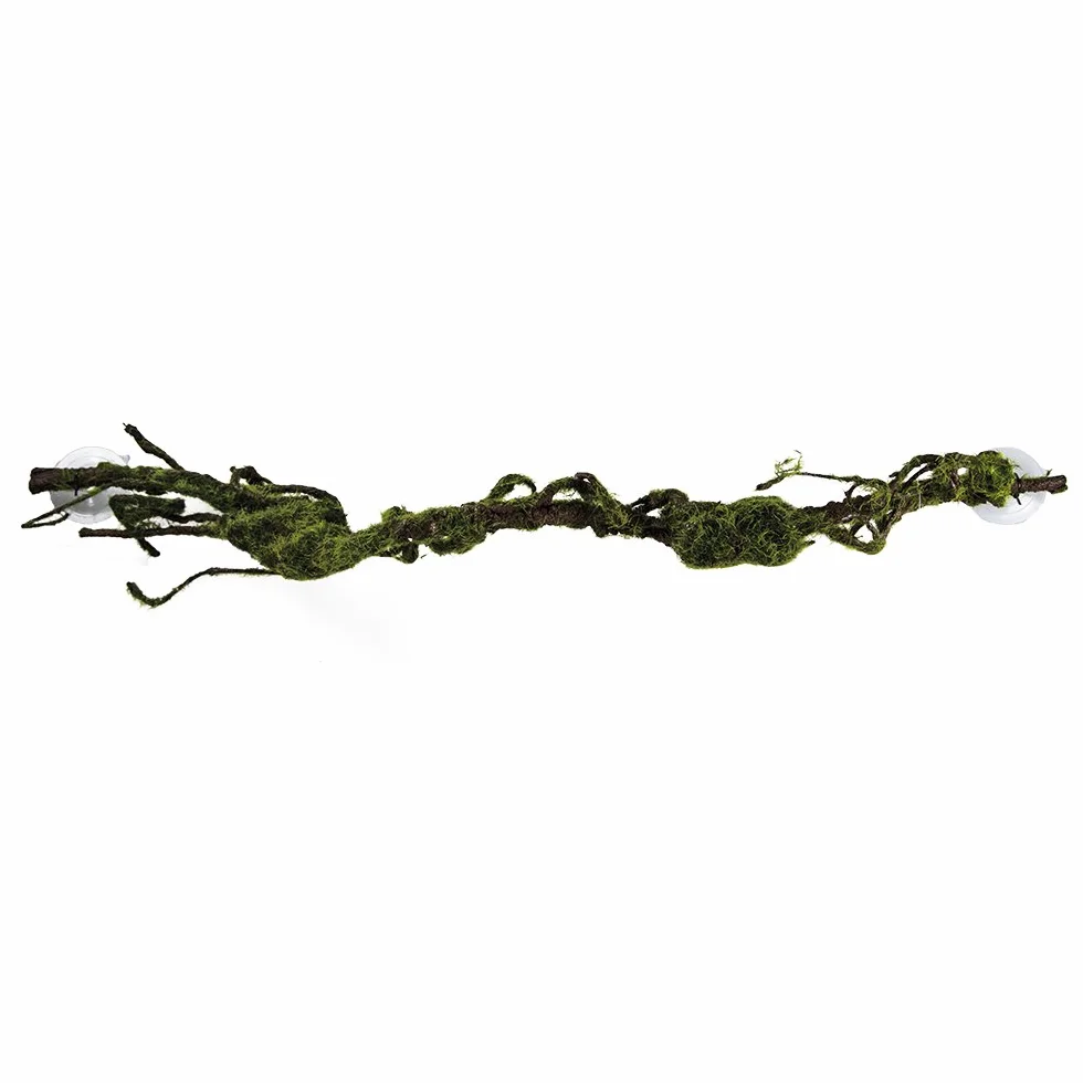 Liane M 80 x 6 cm Aspect Naturel pour Reptiles et Amphibiens Arboricoles