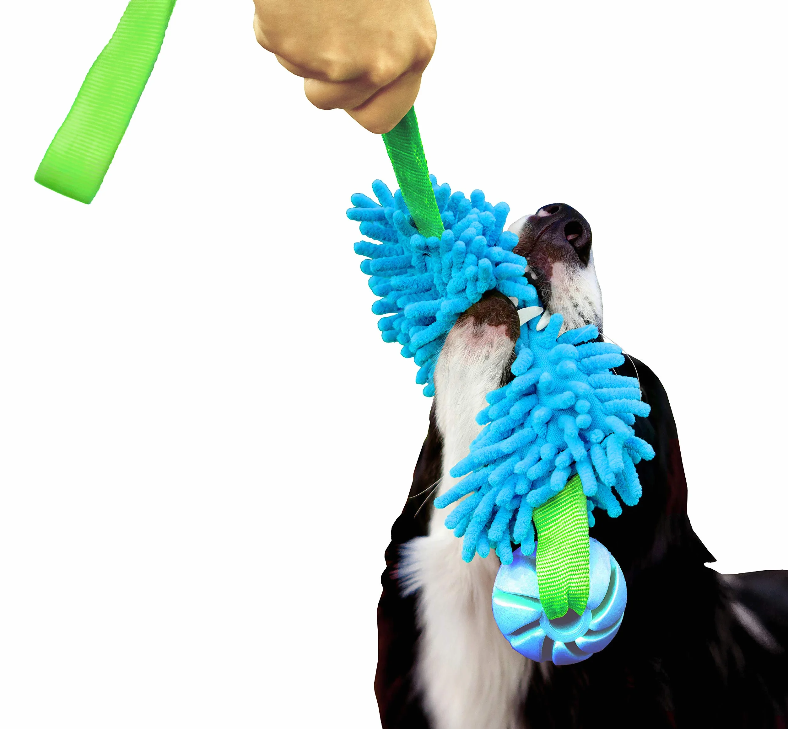 Dingo Jouet de Tug Flottant avec Balle Aromatisée Poignée Bungee Microfibre Bleu