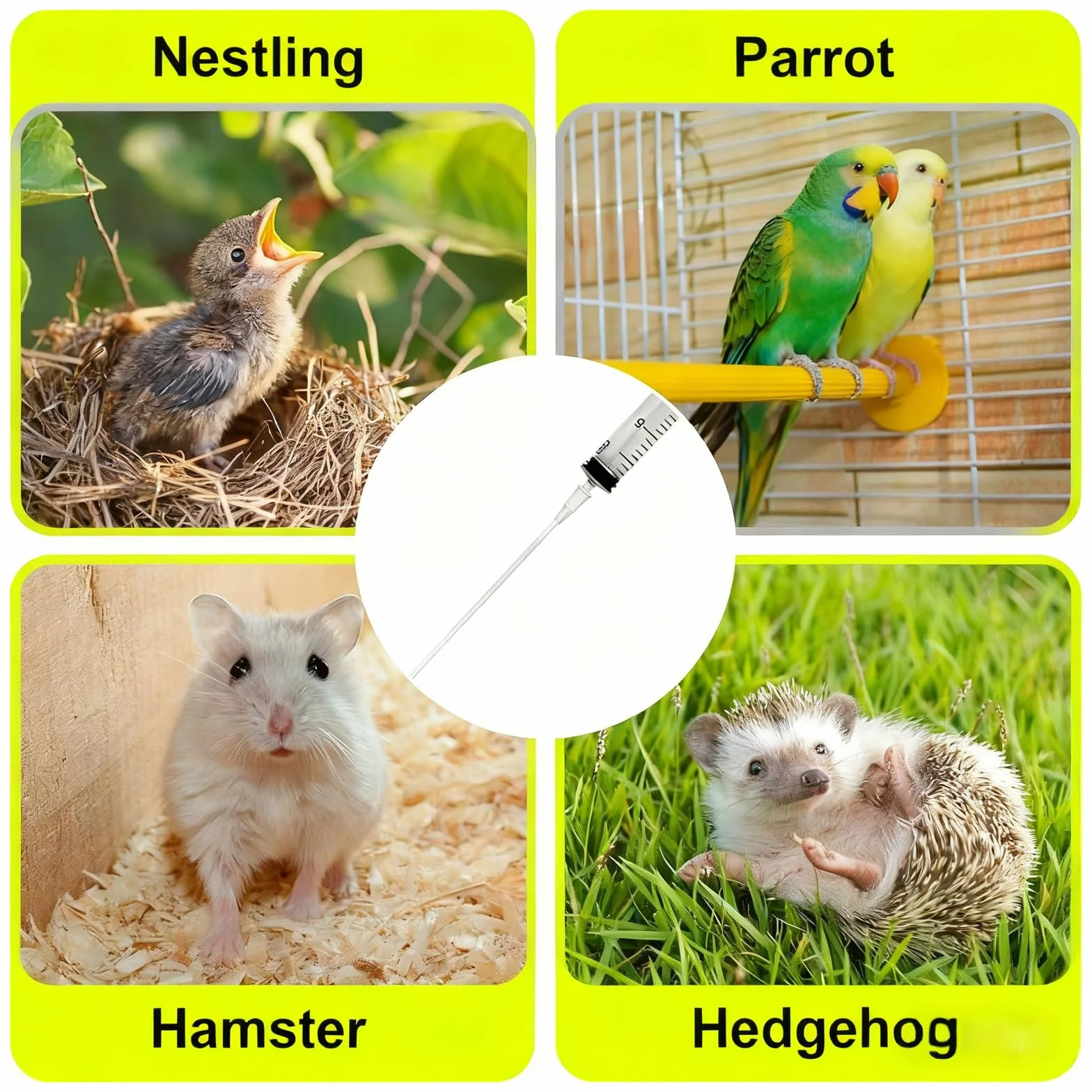 Seringues d'alimentation 20 ml pour oiseaux, pigeons, perroquets avec tuyau