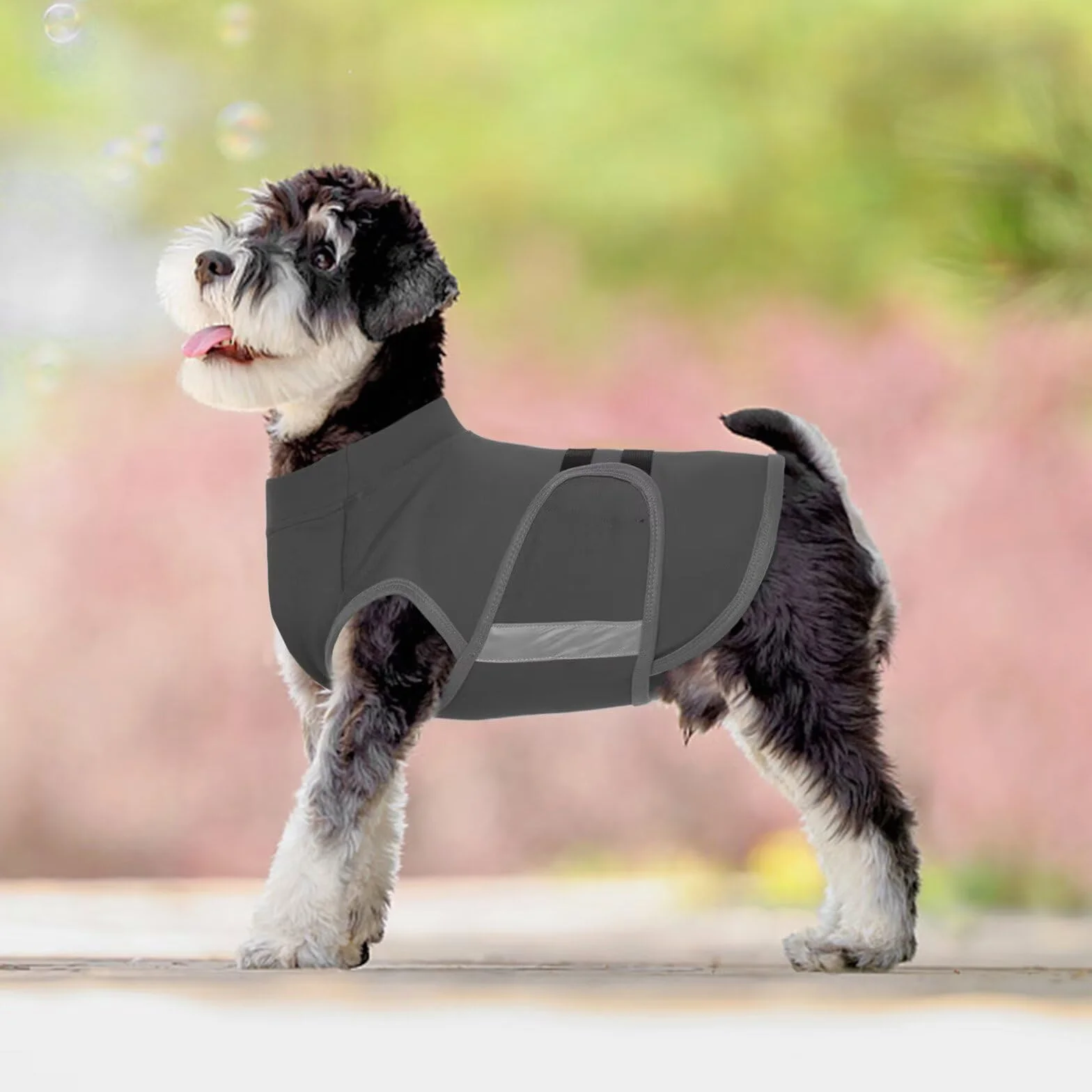 IECOii gilet anti-anxiété pour chiens, veste apaisante légère réfléchissante orages feux d'artifice