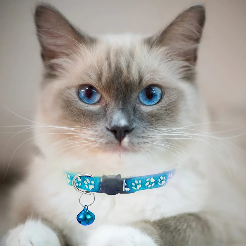 Colliers réfléchissants à dégagement rapide pour chat avec clochette, Lot de 2, Bleu clair