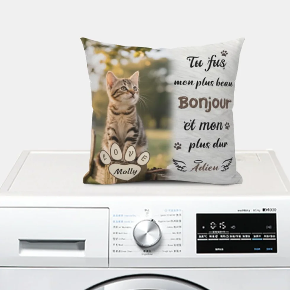 Coussin Chat Personnalisé Photo et Nom Impression Recto Verso Souvenir Commémoratif Cadeau Réconfortant Perte Animal