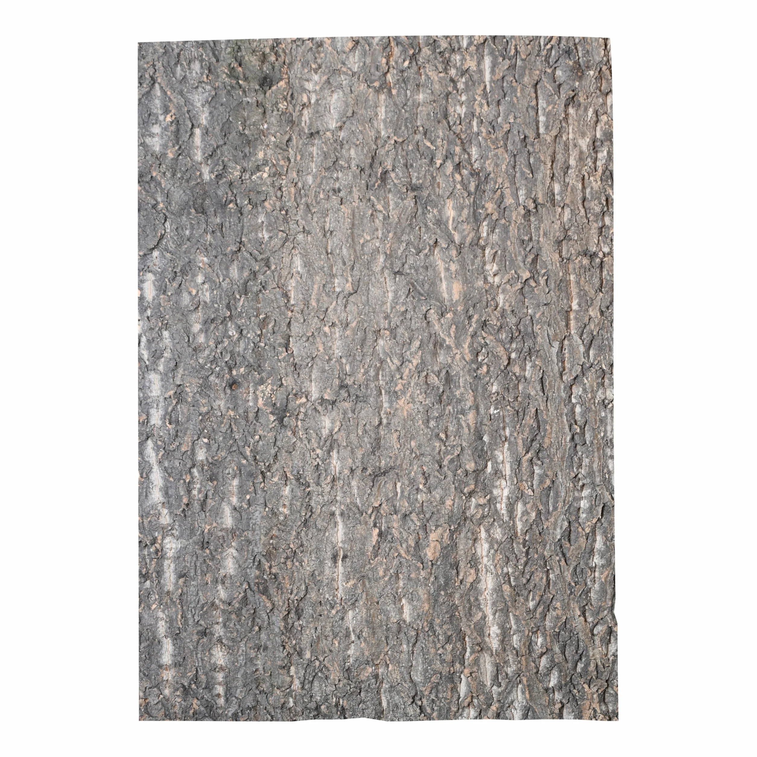 Lucky Reptile KBG-6 Fond en liège Brut 60 x 30 cm