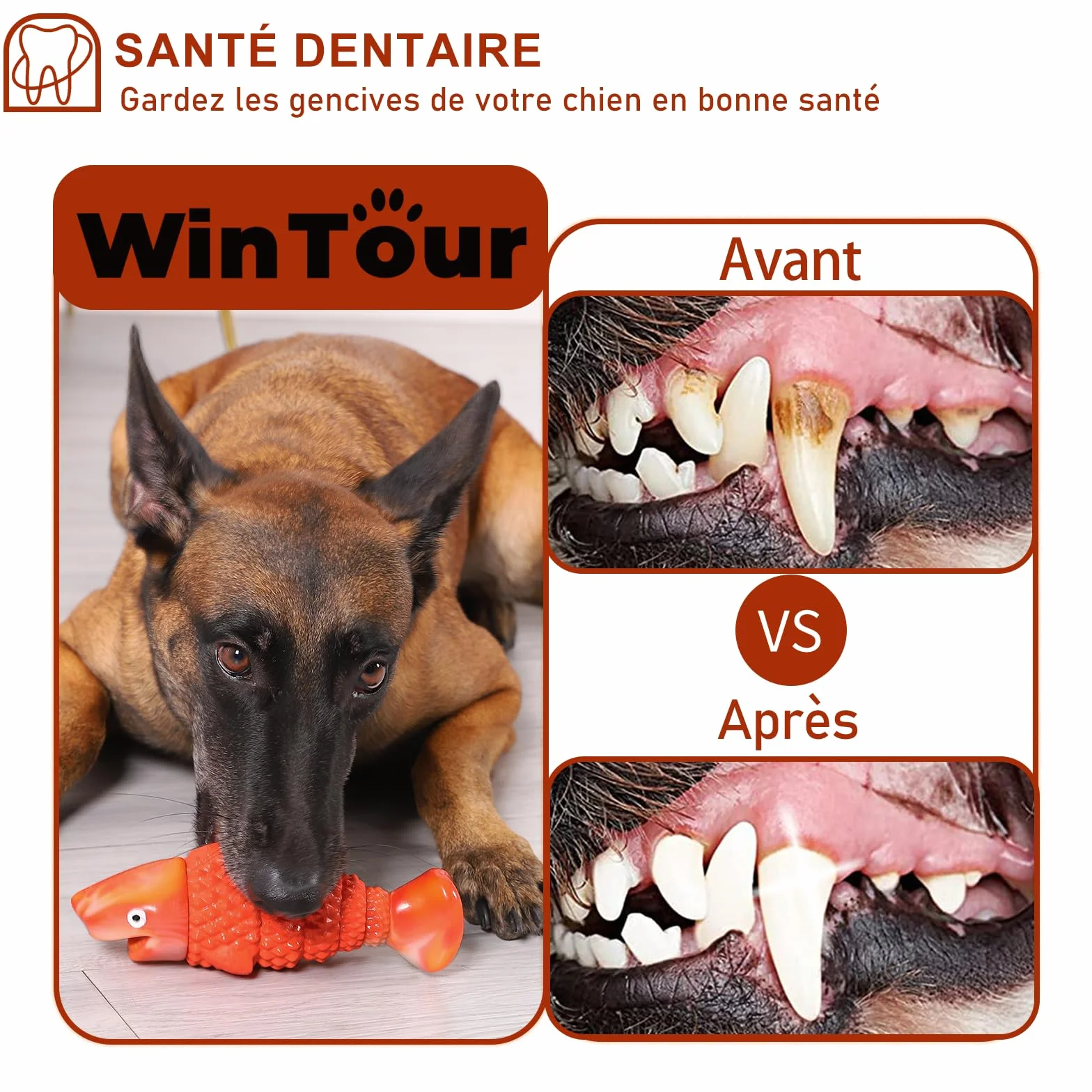 WinTour Jouet Chien Indestructible pour Mâcheur Agressif, Jouet à Mâcher Durable avec Son Grinçant pour Moyenne et Grande Race