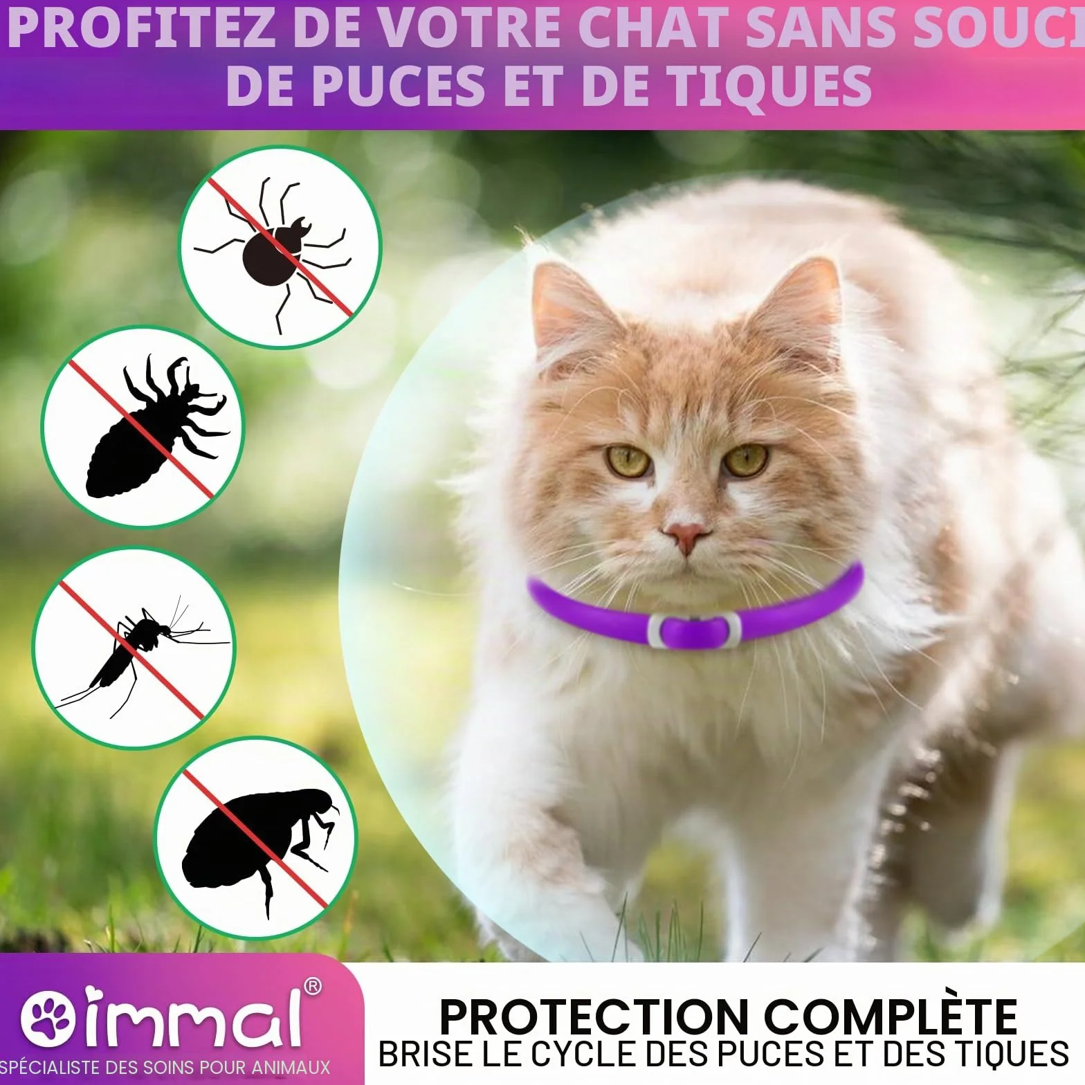 Collier Anti-Puces Chat 4 Pièces Résistant À L'Eau Réglable Protection 24 Mois