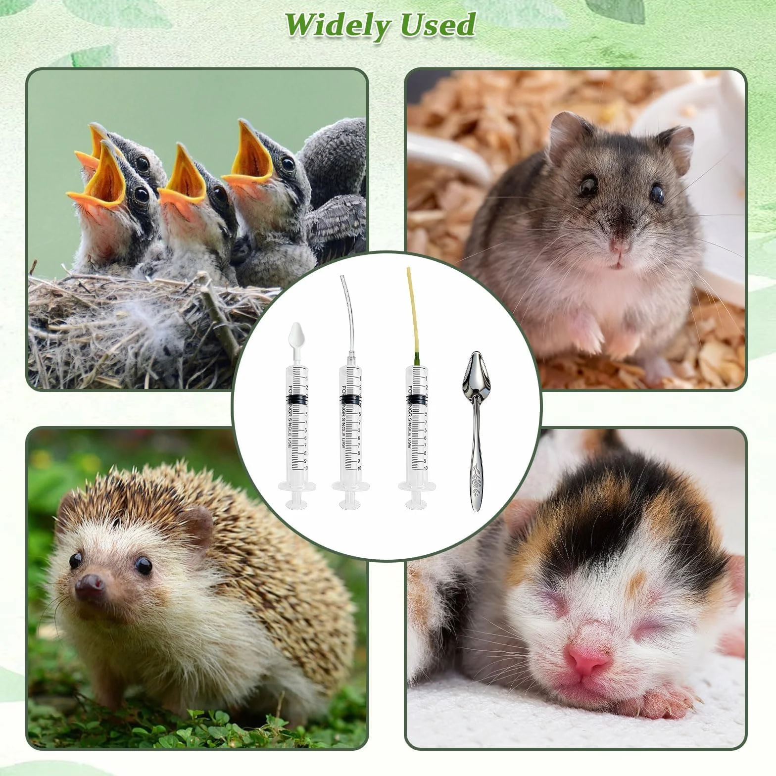 Seringue avec Tuyau d'Alimentation 10ml pour Jeunes Oiseaux Perroquets