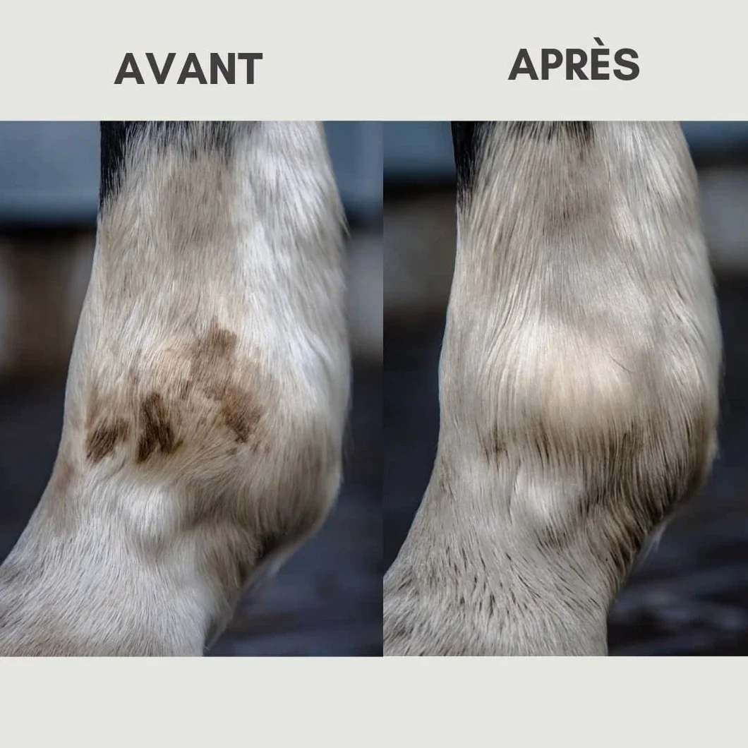 Lotion détachante sans rinçage pour Chevaux