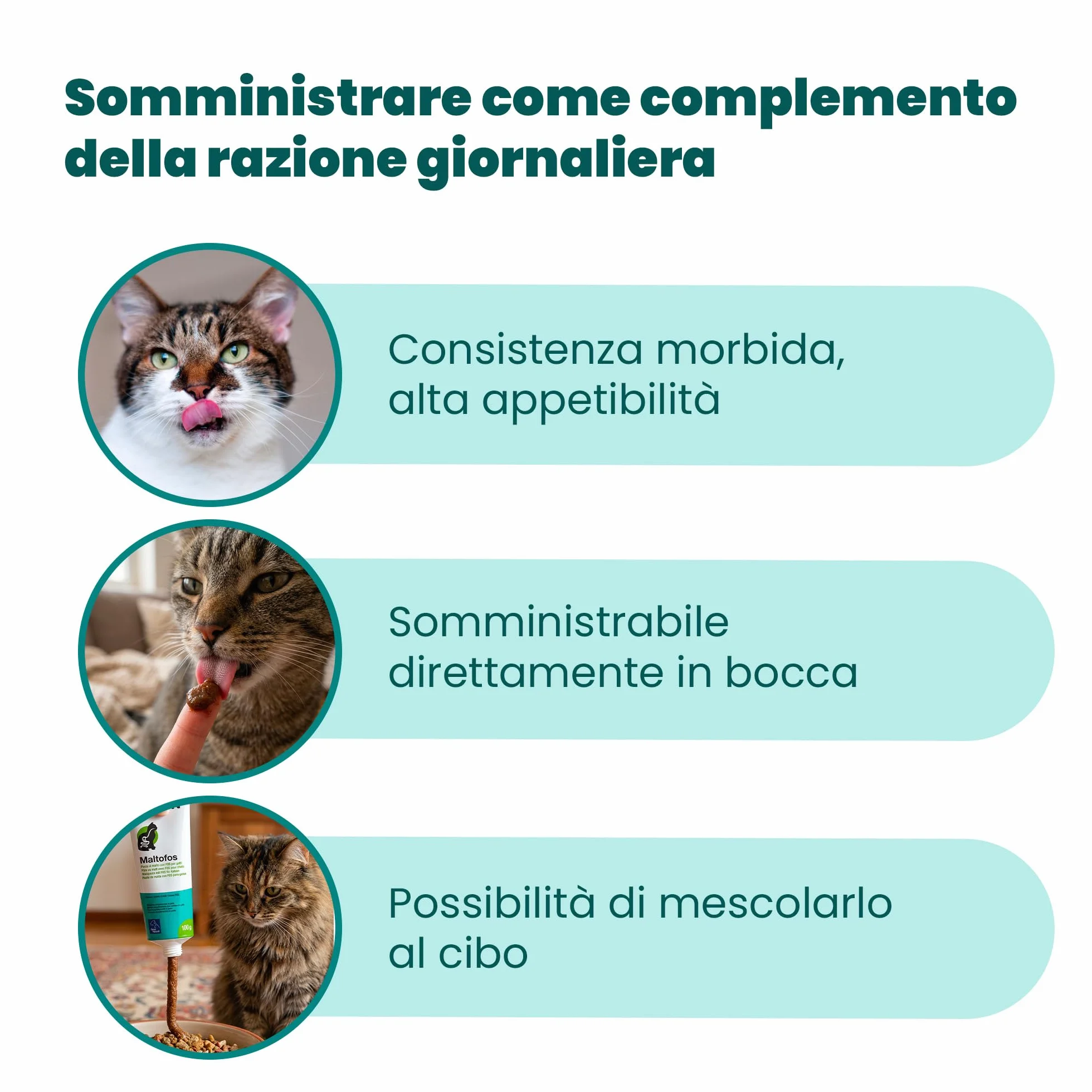 CAMON Maltofos Pâtes au Malte avec FOS Nourriture complémentaire pour Chats Lapins Furets 100 g
