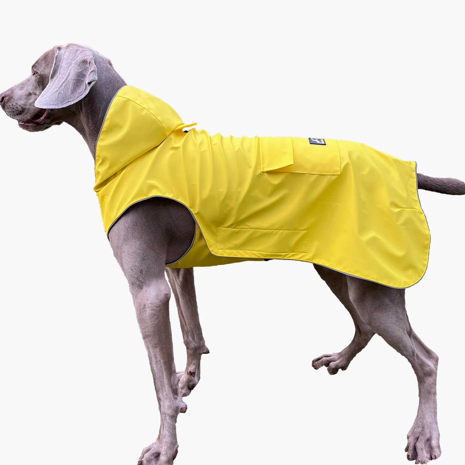 Manteau de Pluie pour Chien Non Rigide, Super Doux au Toucher, réfléchissant, réglable, Facile à Porter, Trou pour Laisse pour Chiens de (Jaune, XXXXL)