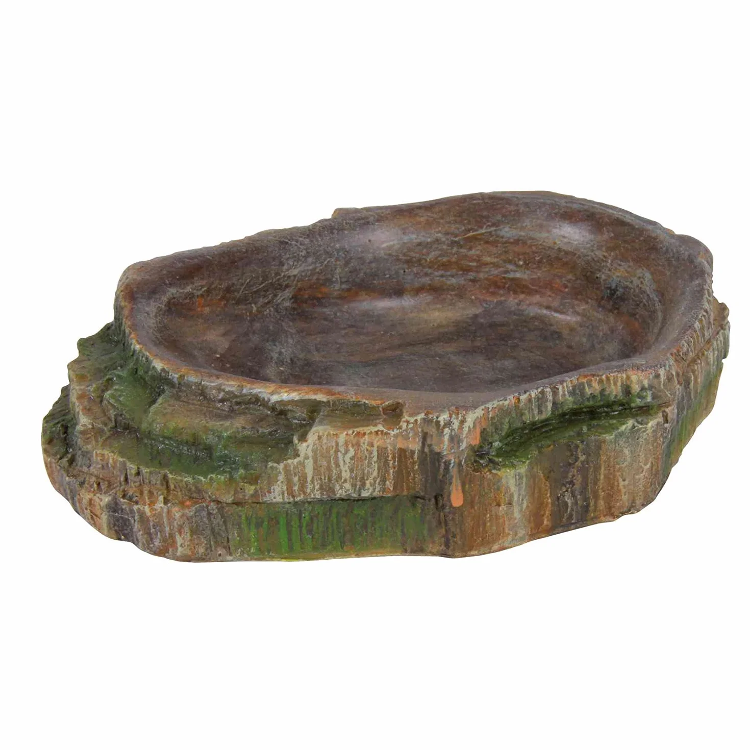 Trixie Reptile Décoration Forêt Tropicale Bol d'eau et de Nourriture