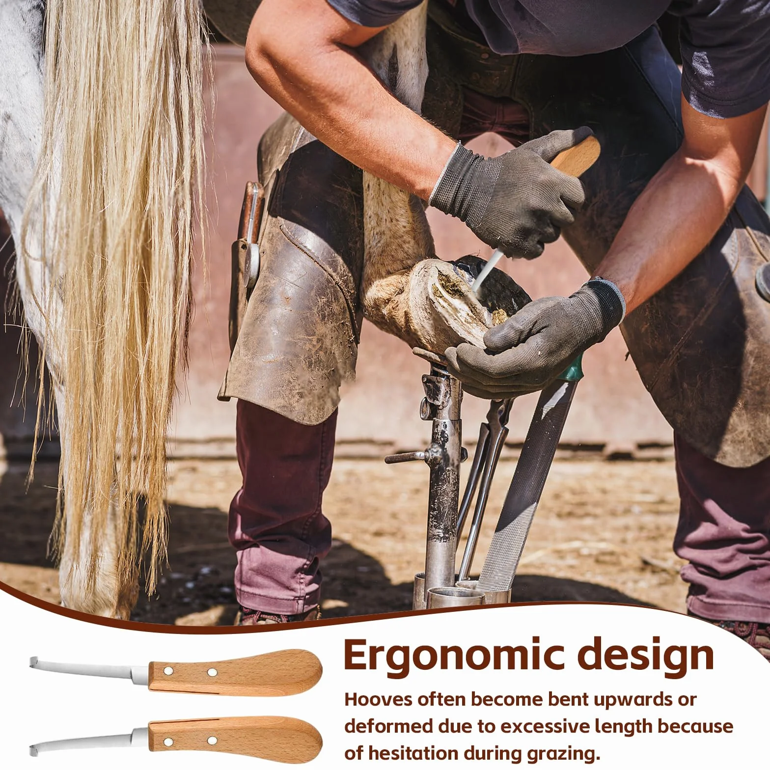 Couteau à Sabot 21.5 cm Acier Inoxydable Soins des Sabots Gaucher Droitier Outil Parage Manche en Bois Chevaux Bovins Ovins