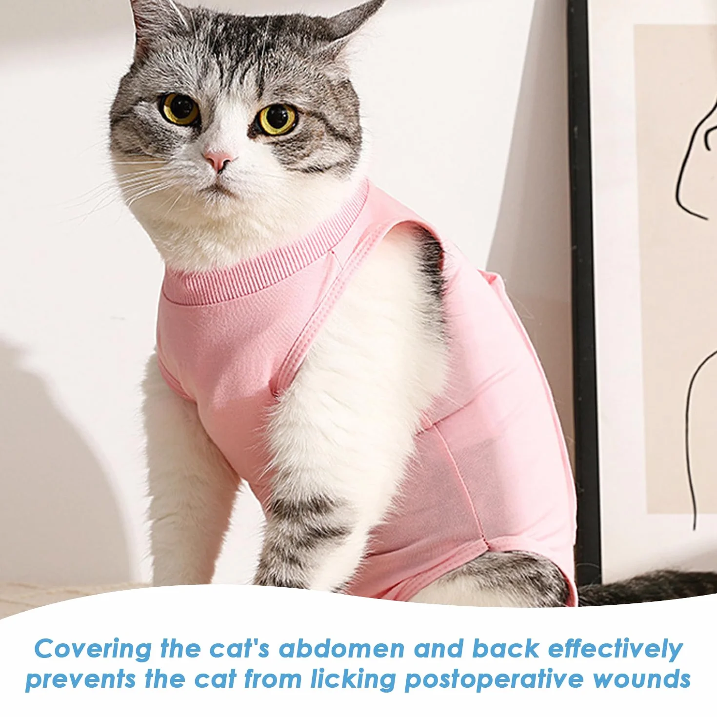 Lot De 2 Vêtements De Stérilisation pour Chat, Combinaison Postopératoire pour Plaies Abdominales