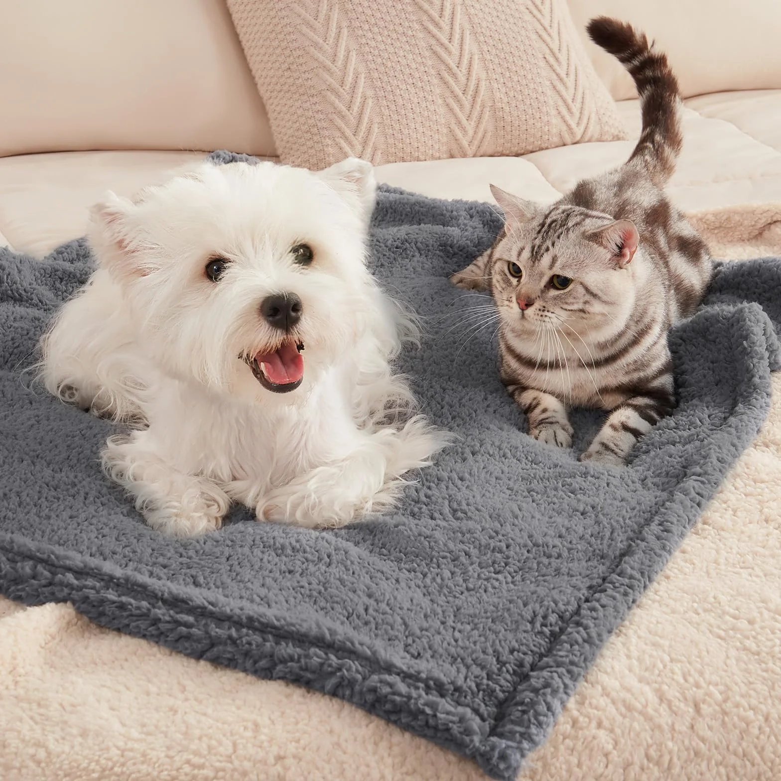 Luciphia 3 Pièces Couverture en Peluche Tapis Lit pour Chiens Chat Lapins Beige L 76 x 104 cm