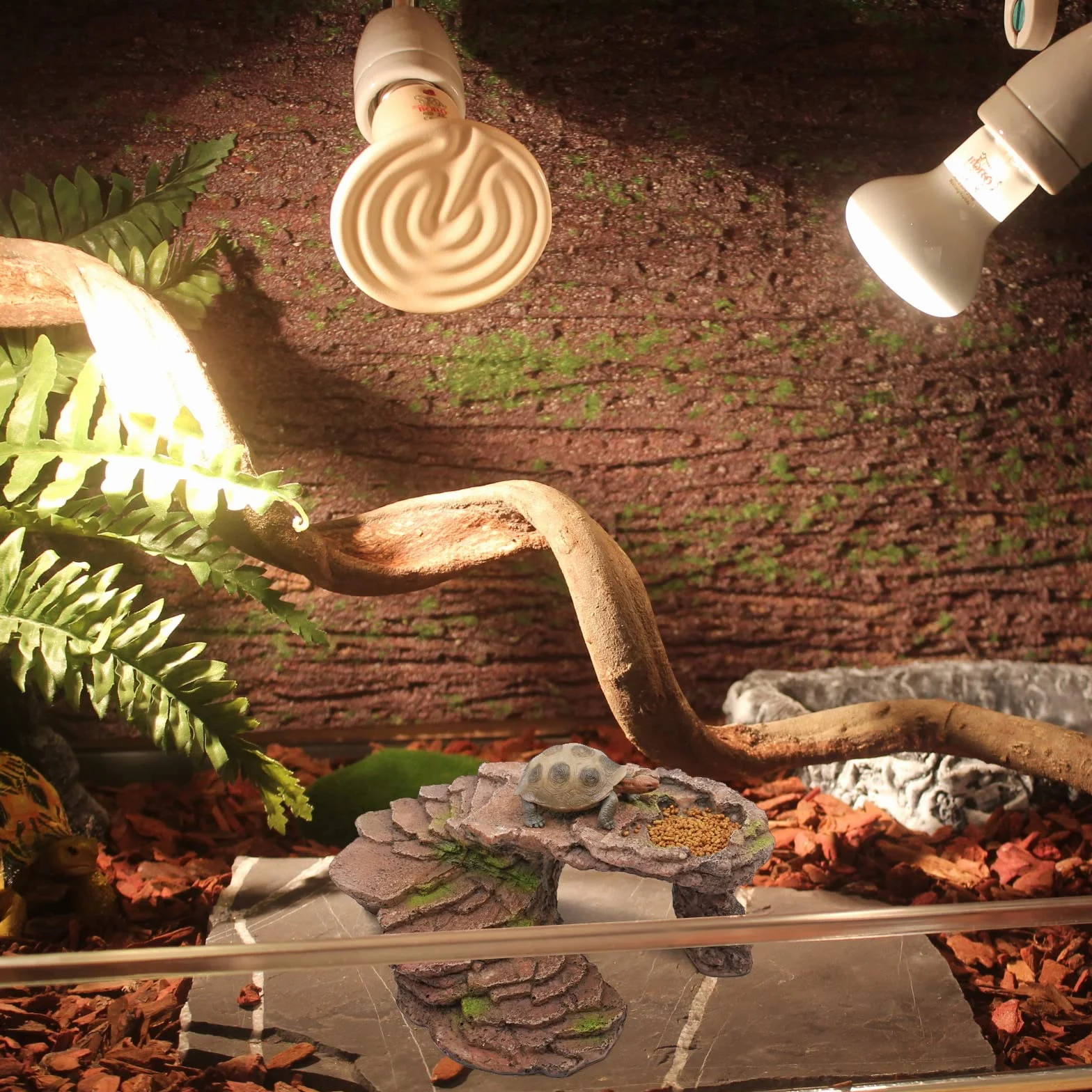 Cachette Reptile Plateforme Tortue Terrasse Cave Salamandre Gecko Leopard Cache Reptile Cave Dragon Barbu Sanctuaire Habitat Terrarium Decoration