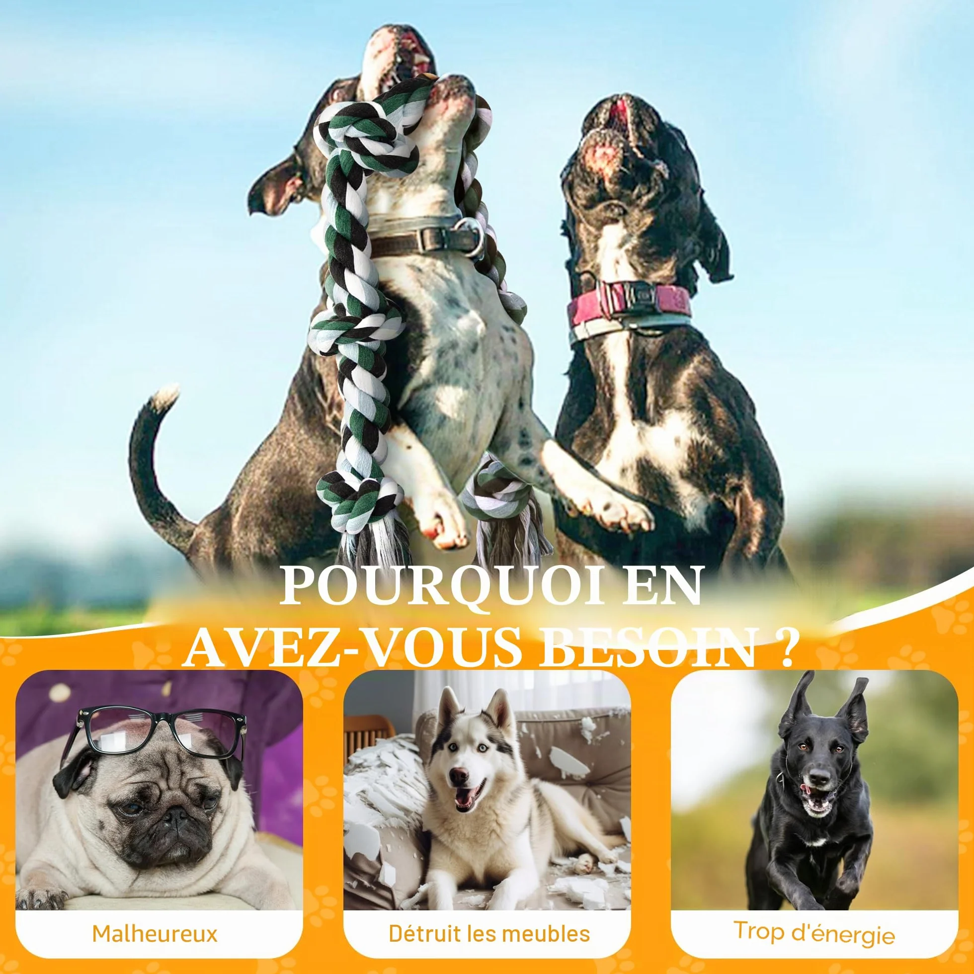 Corde de Jouet Chien Durable 100cm Grand 6-Nœuds 100% Coton Jouet à Mâcher pour Nettoyage des Dents