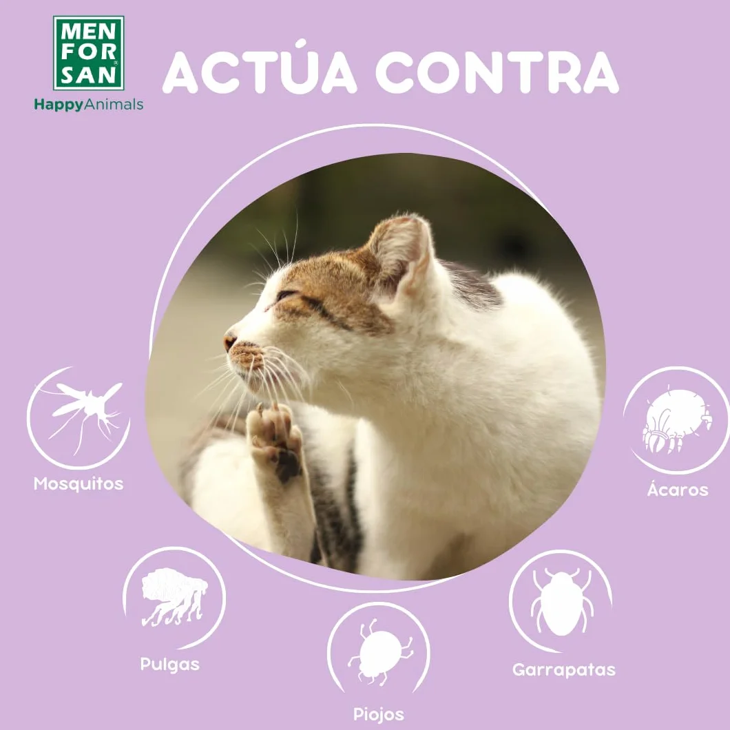 Collier Anti-Insectes Luminescent pour Chats MENFORSAN 30cm Auto-réglable
