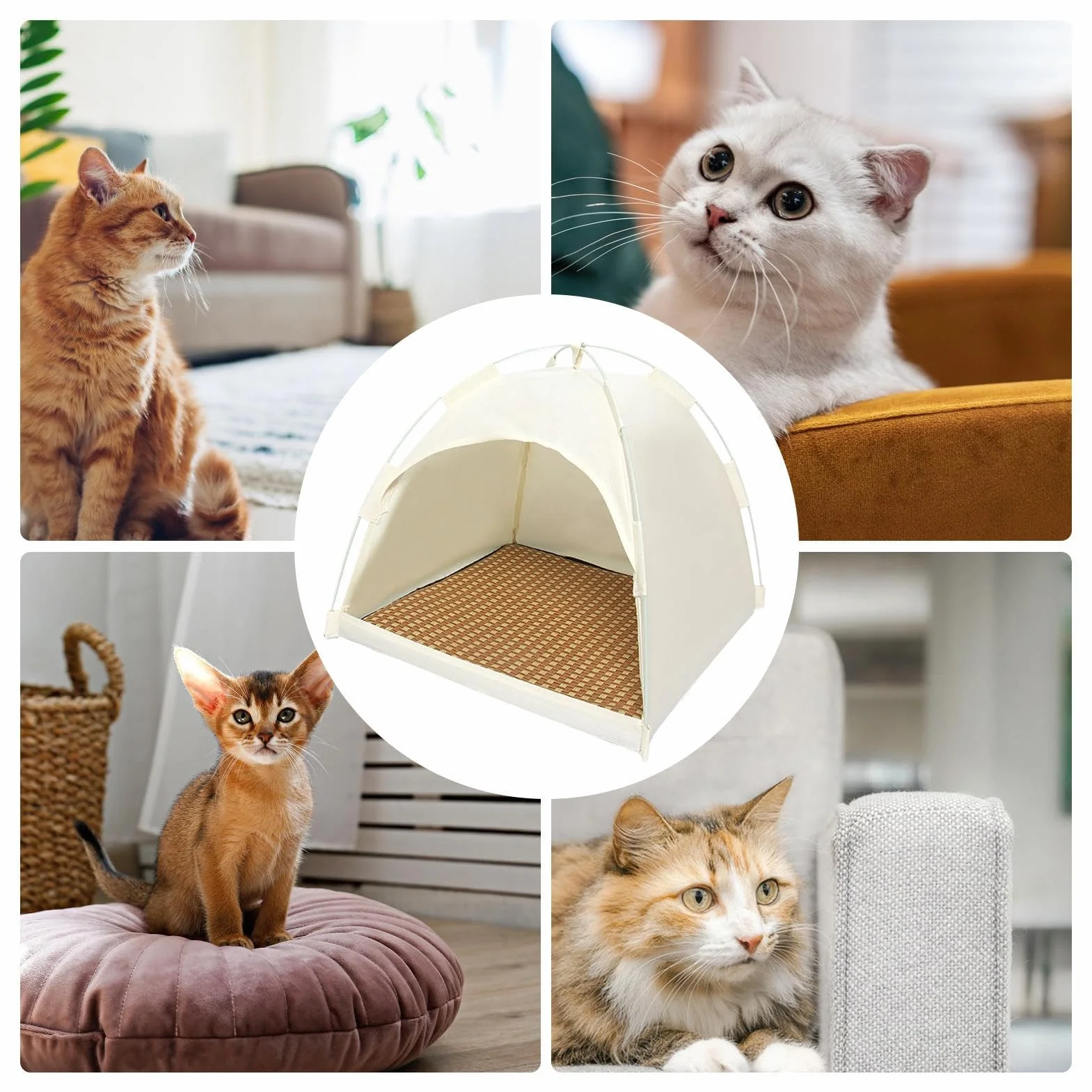 Tente pour chat extérieur pop multifonction respirante été chatons chiots lapins