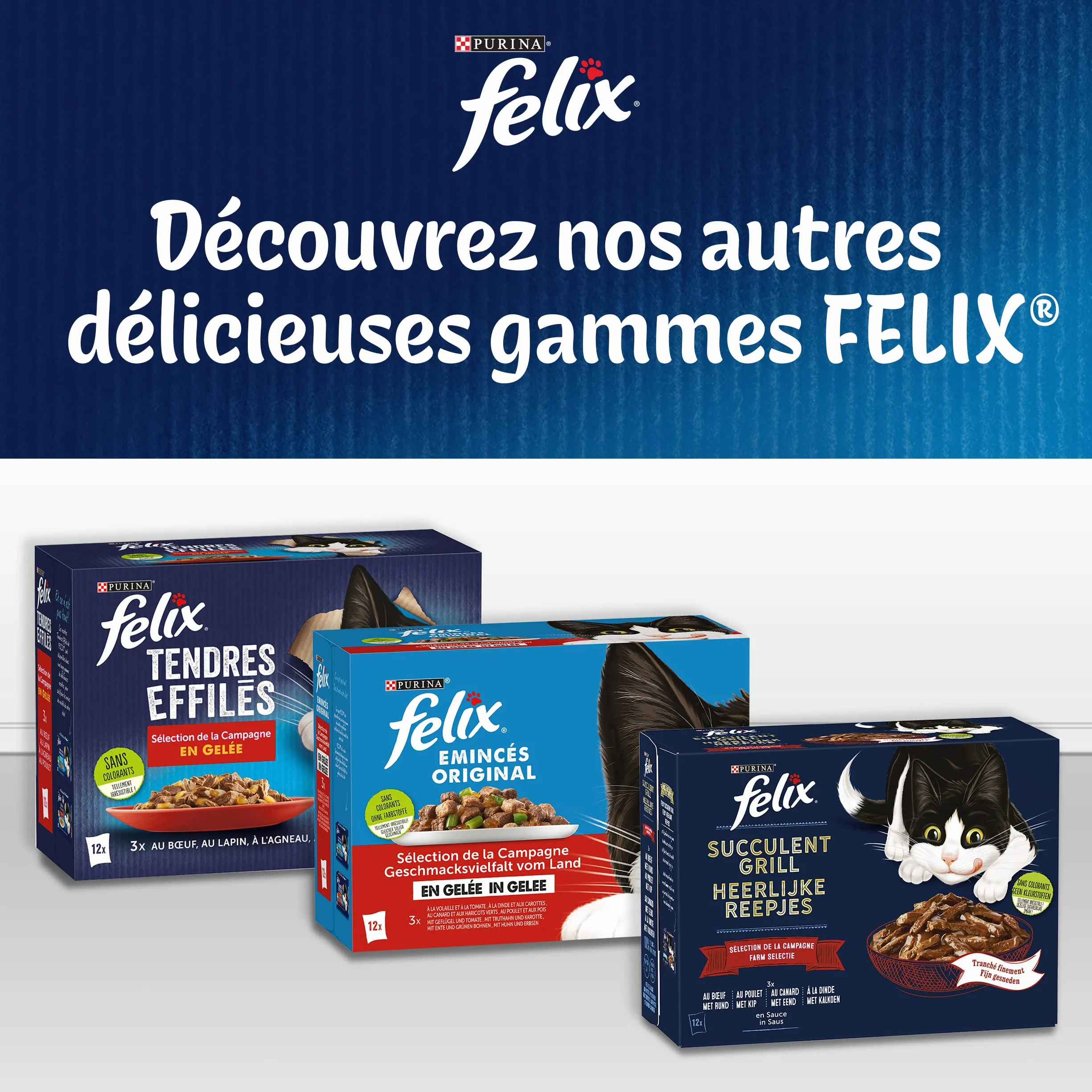 Felix Tendres Effilés Chat Adulte En Gelée 24 x 85g Sélection Mixte aux Légumes Saumon Truite Bœuf Poulet