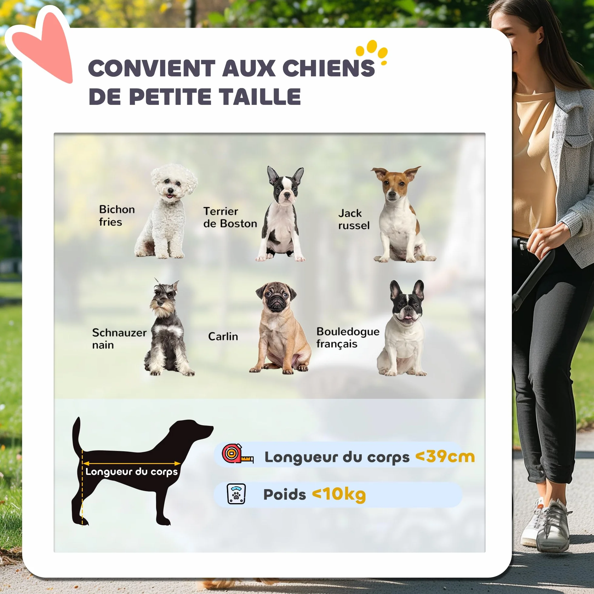 PawHut Poussette pour chien pliable en un clic, poussette chat, panier de rangement, coussin lavable, grandes roues caoutchouc, gris