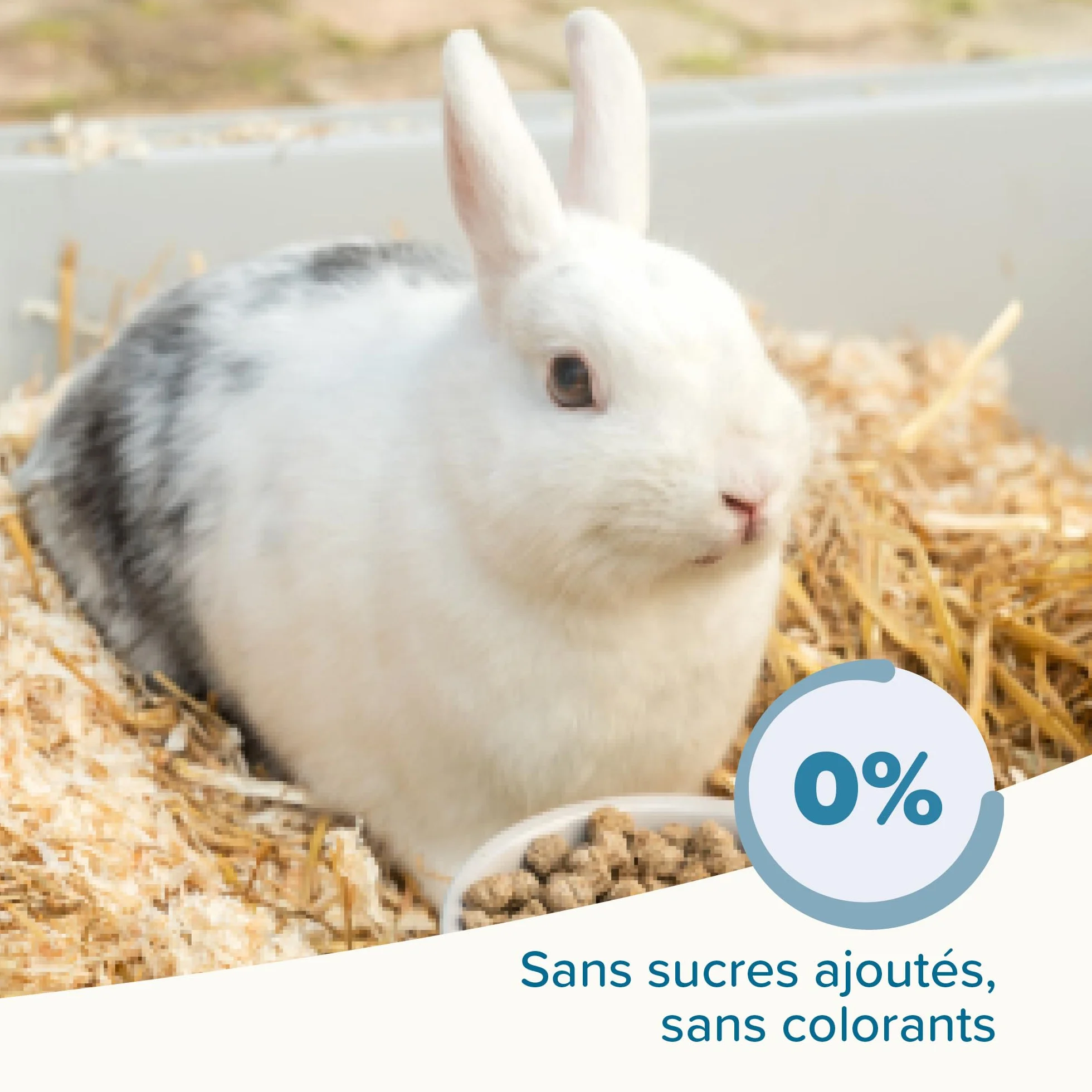 BEAPHAR Care+ Alimentation Super Premium Lapin sénior 25% Fibres Oméga 3 & 6 Faible Glucides Matières Grasses 1,5 kg