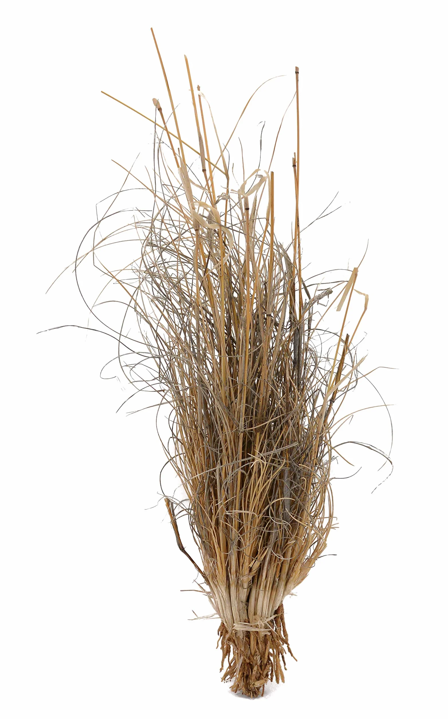 Lucky Reptile dlg 01 Gras Touffe 25-40 cm