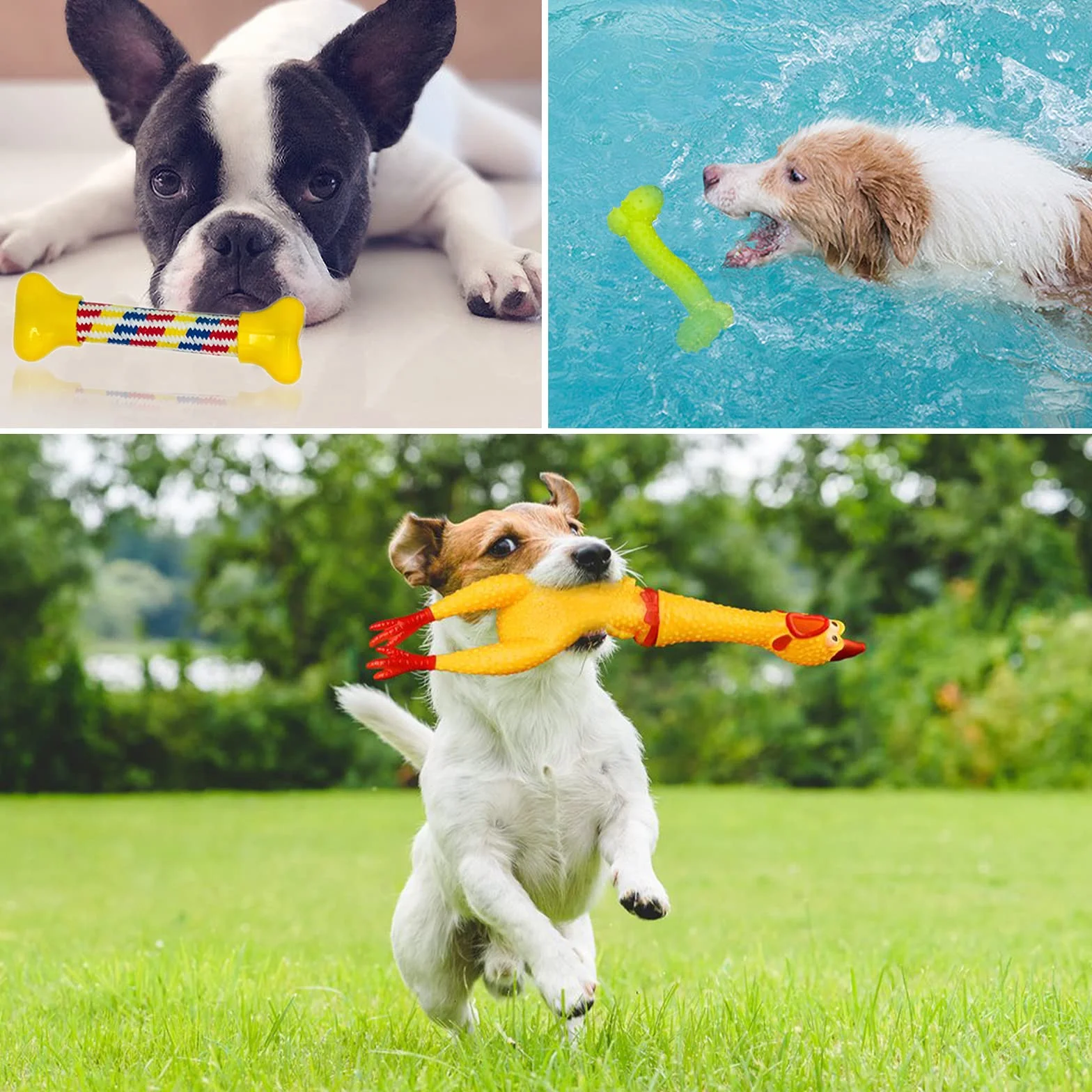 Amzeeniu Ensemble Lot de 16 PCS Jouet à Mâcher Corde pour Chiens, Jouet Interactif Chien Corde Balle