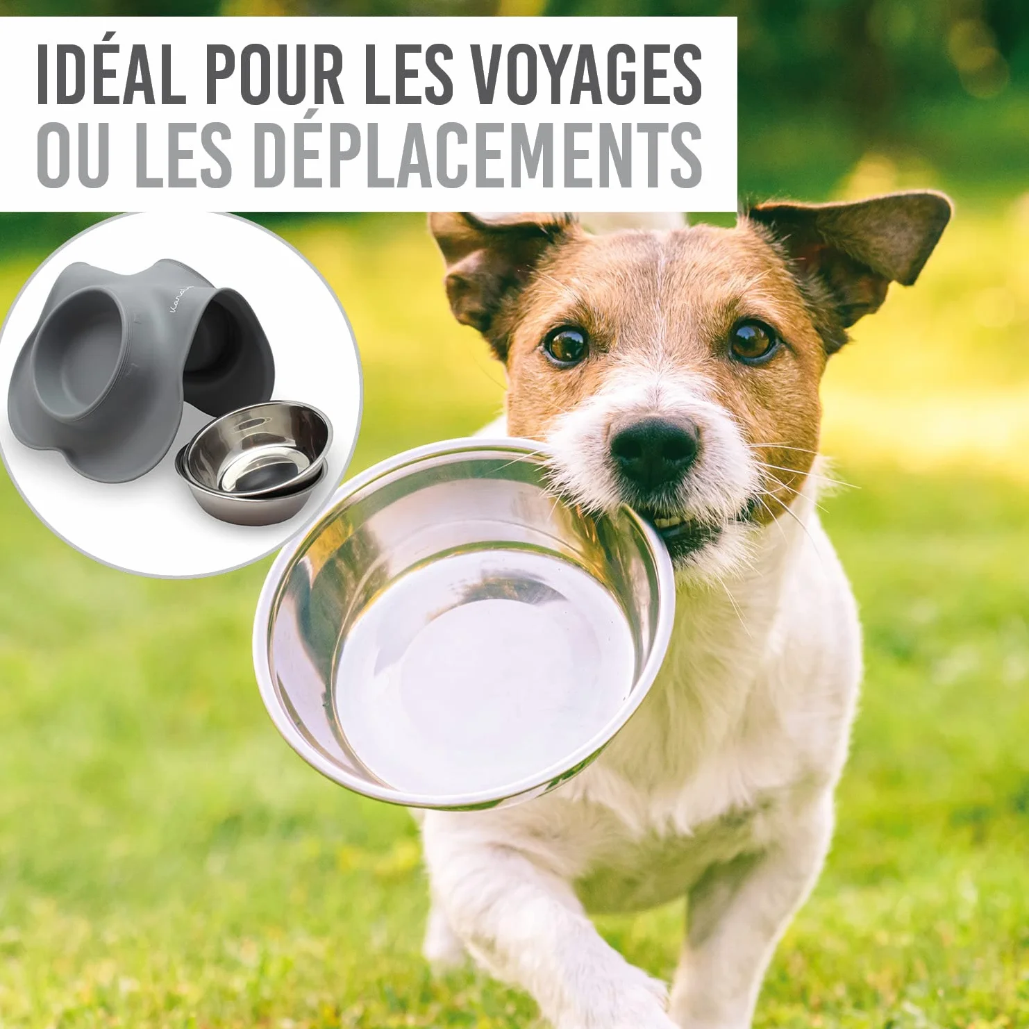Tapis pour gamelle en Silicone KaraLuna avec gamelles en Acier Inoxydable Lot de 2 gamelles pour Chat 200ml Gris