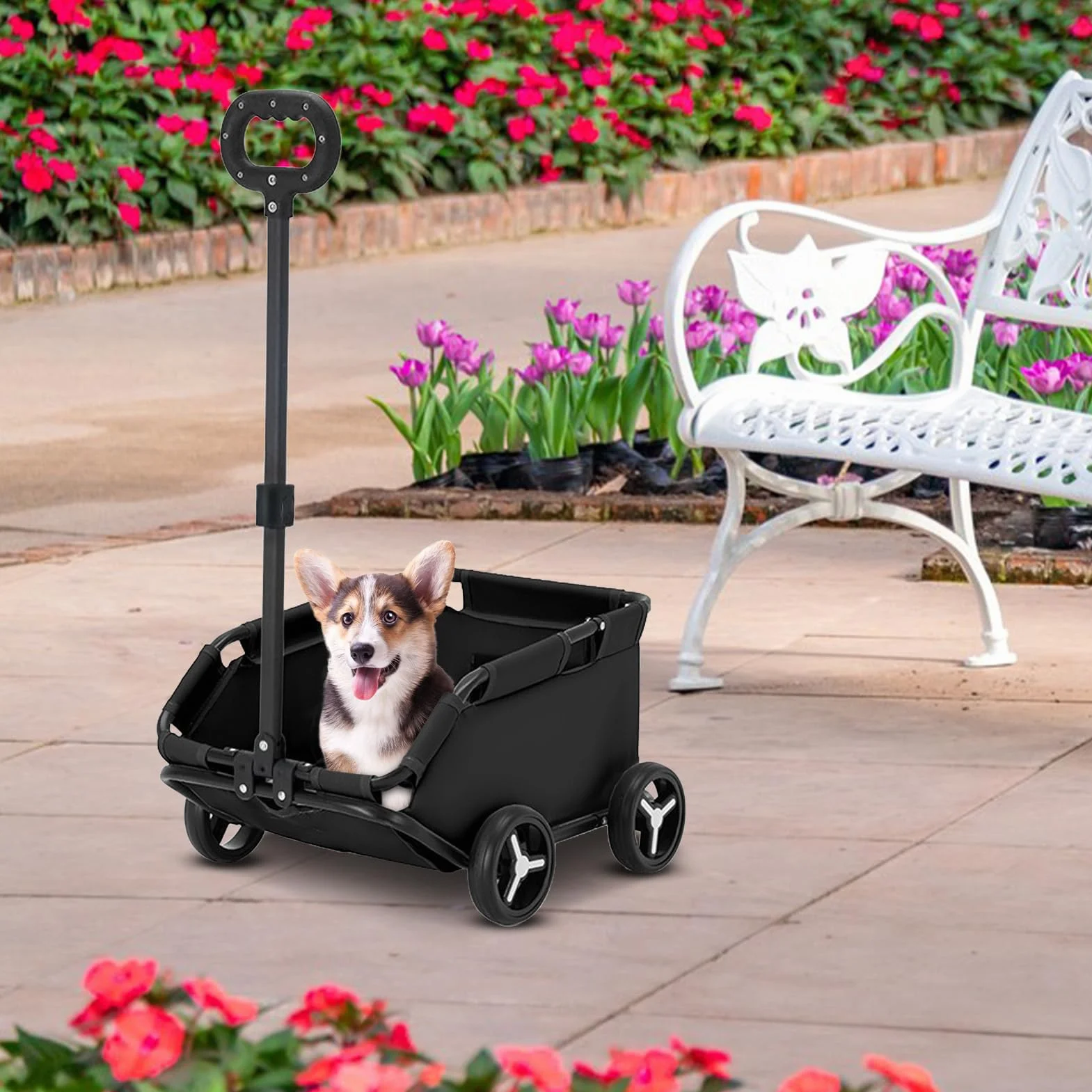 Poussette pour chiens de petite taille cage de transport à roulettes pliable 4 roues pour chats chiots animaux voyages
