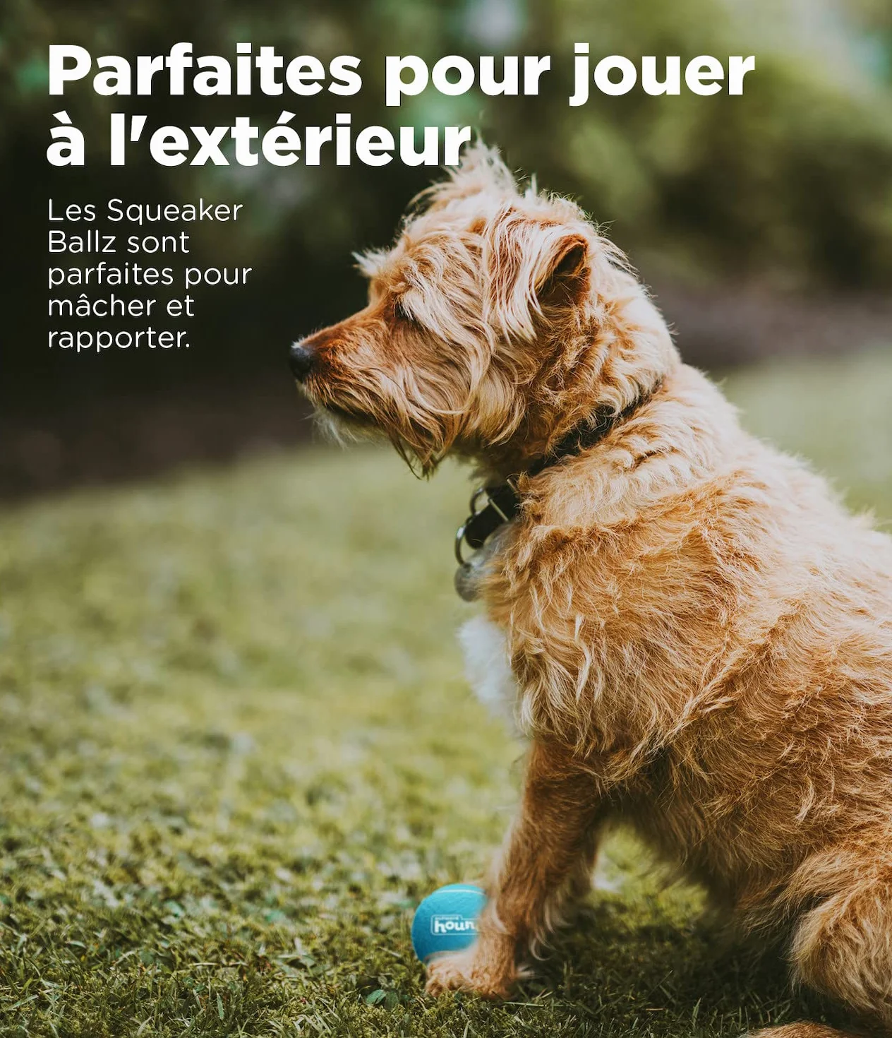 Outward Hound Squeaker Ballz Balle pour Chien Lot de 4 XS
