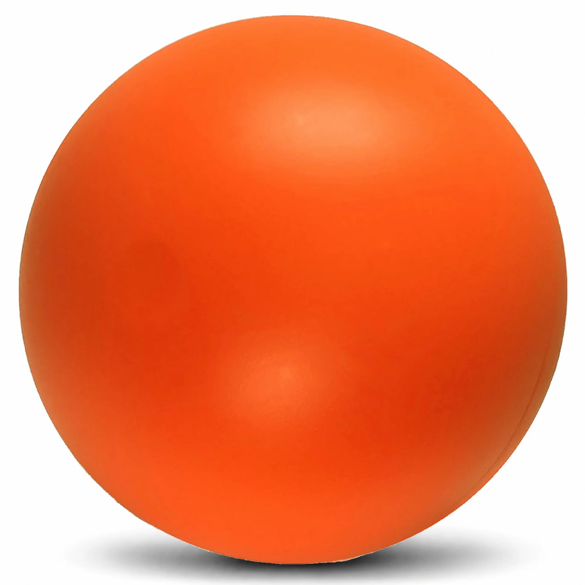 Doggie Dooley Balle pour chien pratiquement indestructible – Jouet interactif en plastique dur de 35,6 cm pour grandes races de plus de 200 kg – Conçu pour le troupeau et le jeu – Flotte dans l'eau