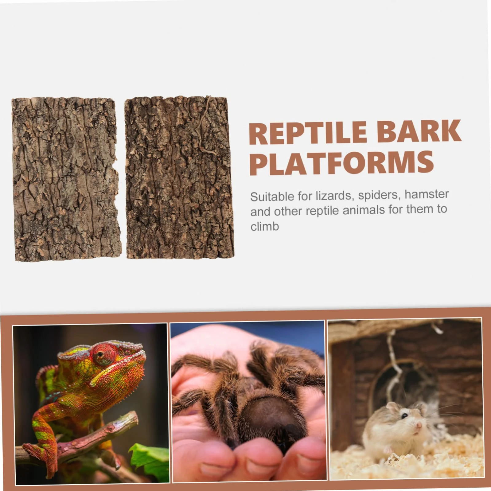 Écorce de Liège Plateforme Reptile Terrarium Décor Escalade