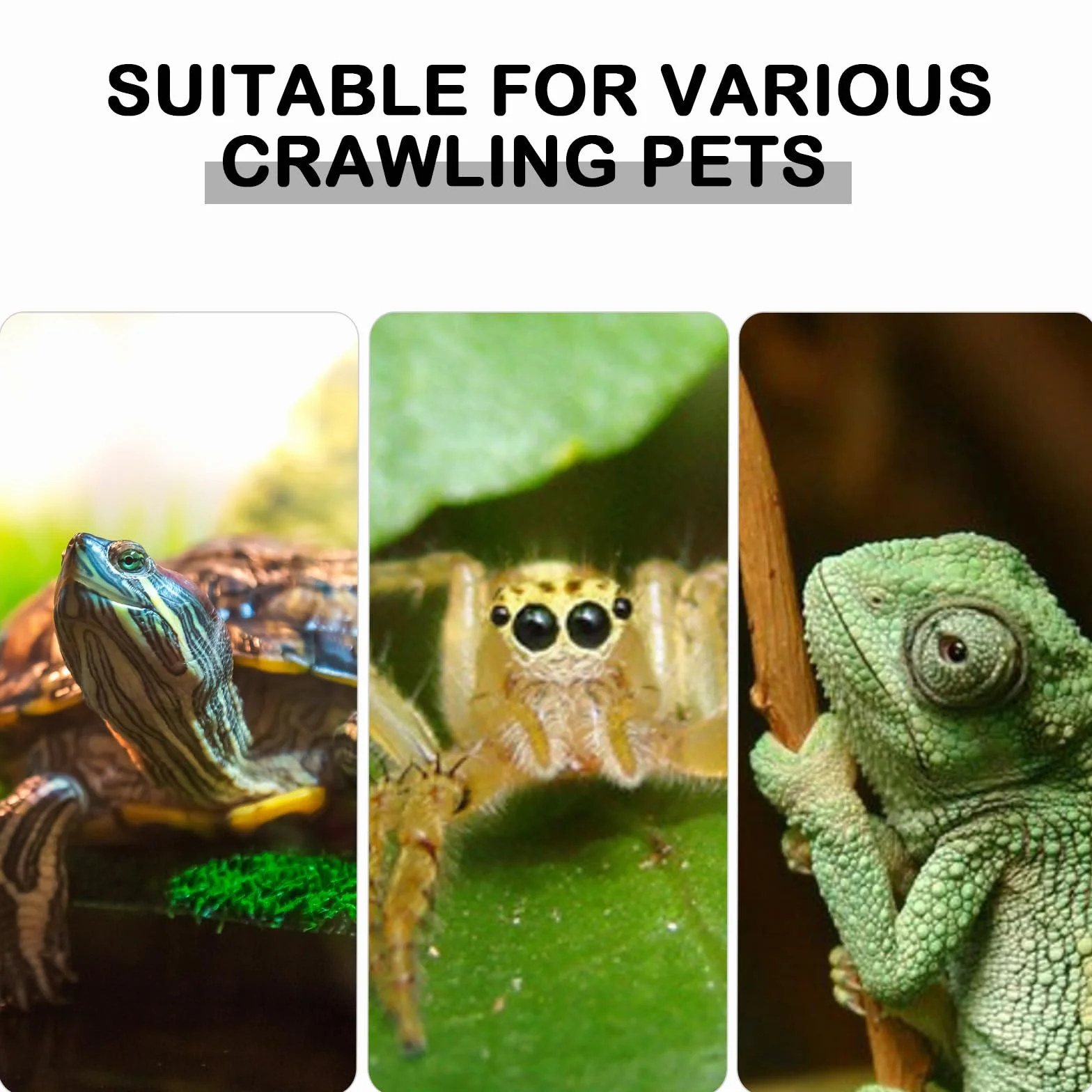 Lampe Chauffante pour Reptiles Tortue avec Ampoules UVA UVB 25W 50W, Pince 360°
