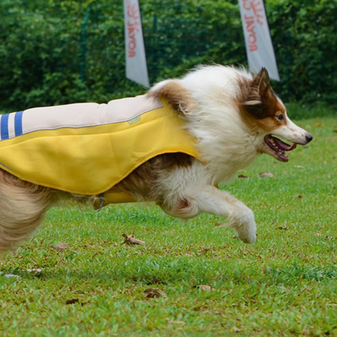 Artibetter Gilet Rafraîchissant de Prévention Le Coup de Chaleur Jaune pour Chien en Polyester Léger et Confortable Promenade Séances Photo