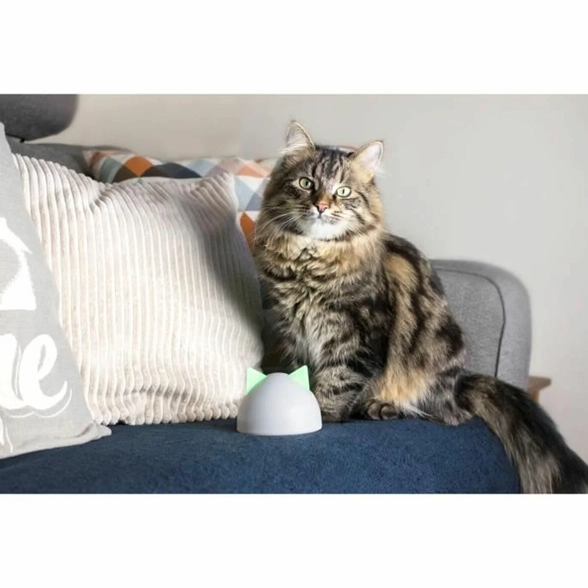 Sure PetCare Hub Compatible avec Chatières Connect SureFlap SureFeed Connect Felaqua Connect Application Mobile Blanc