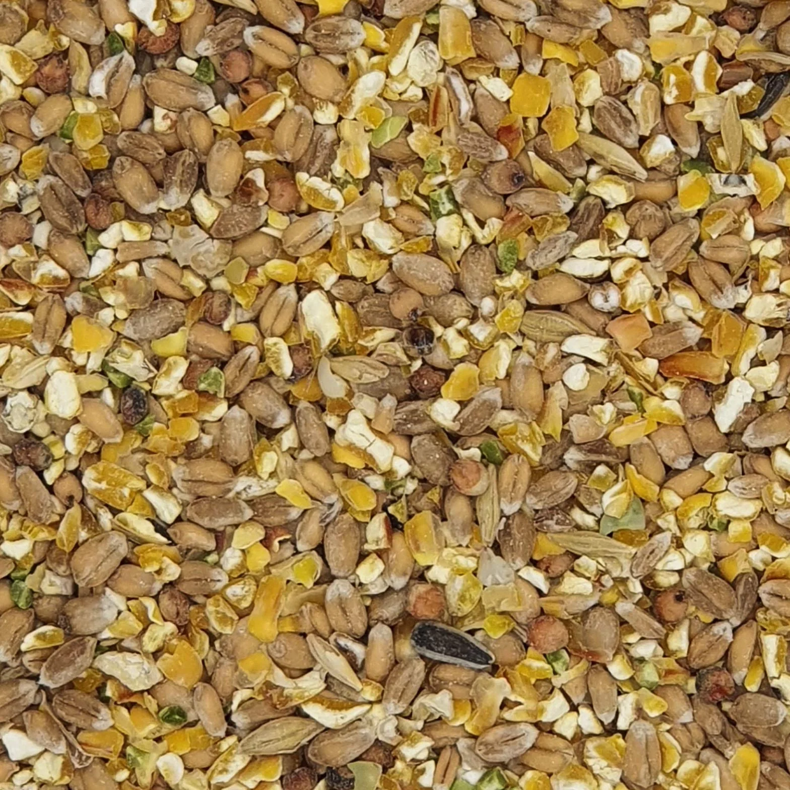 Versele Country Best Mélange de Grains 20 kg