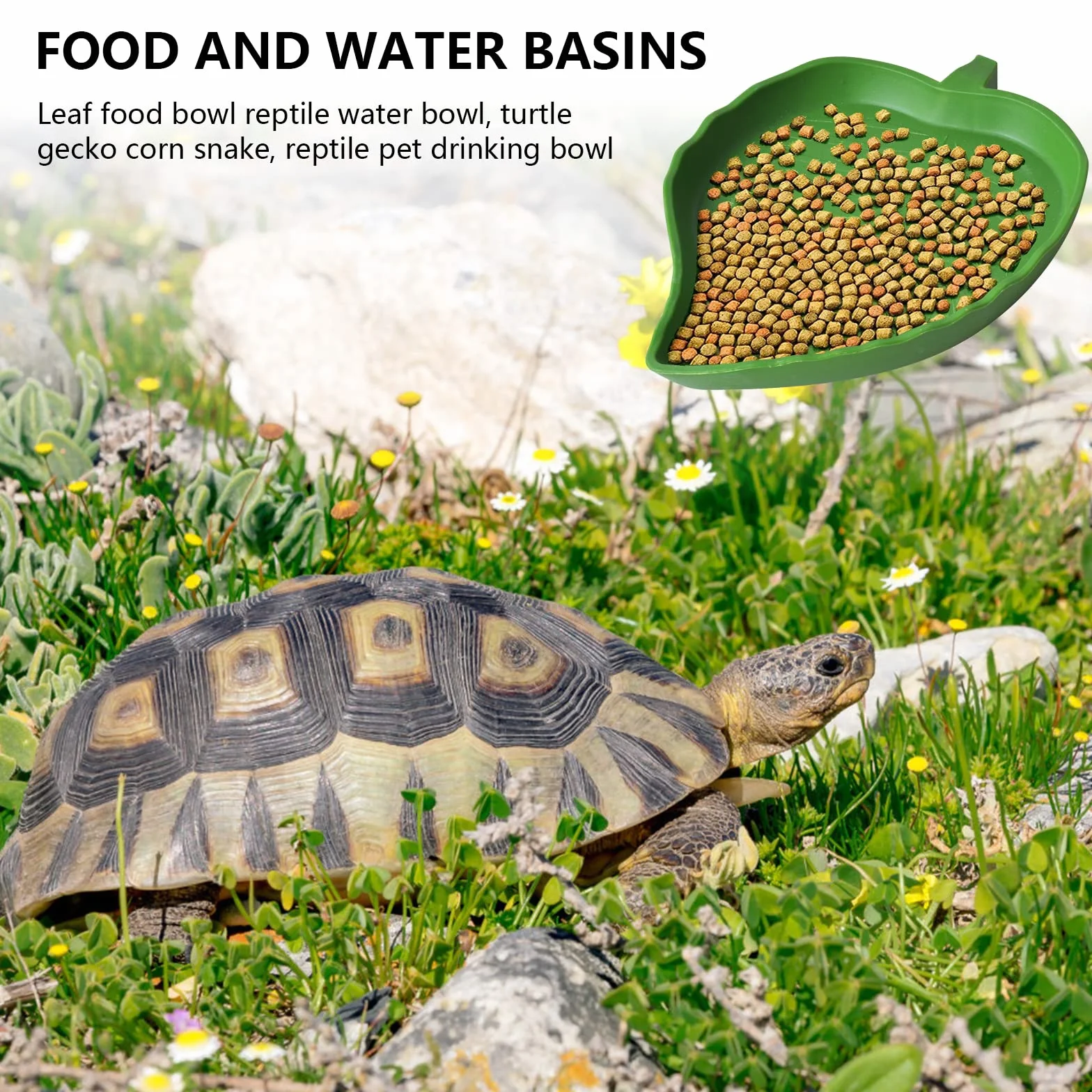 Bol d'Eau et de Nourriture en Forme de Feuille pour Reptiles, Accessoire Tortue Terrestre, Abreuvoir Plat