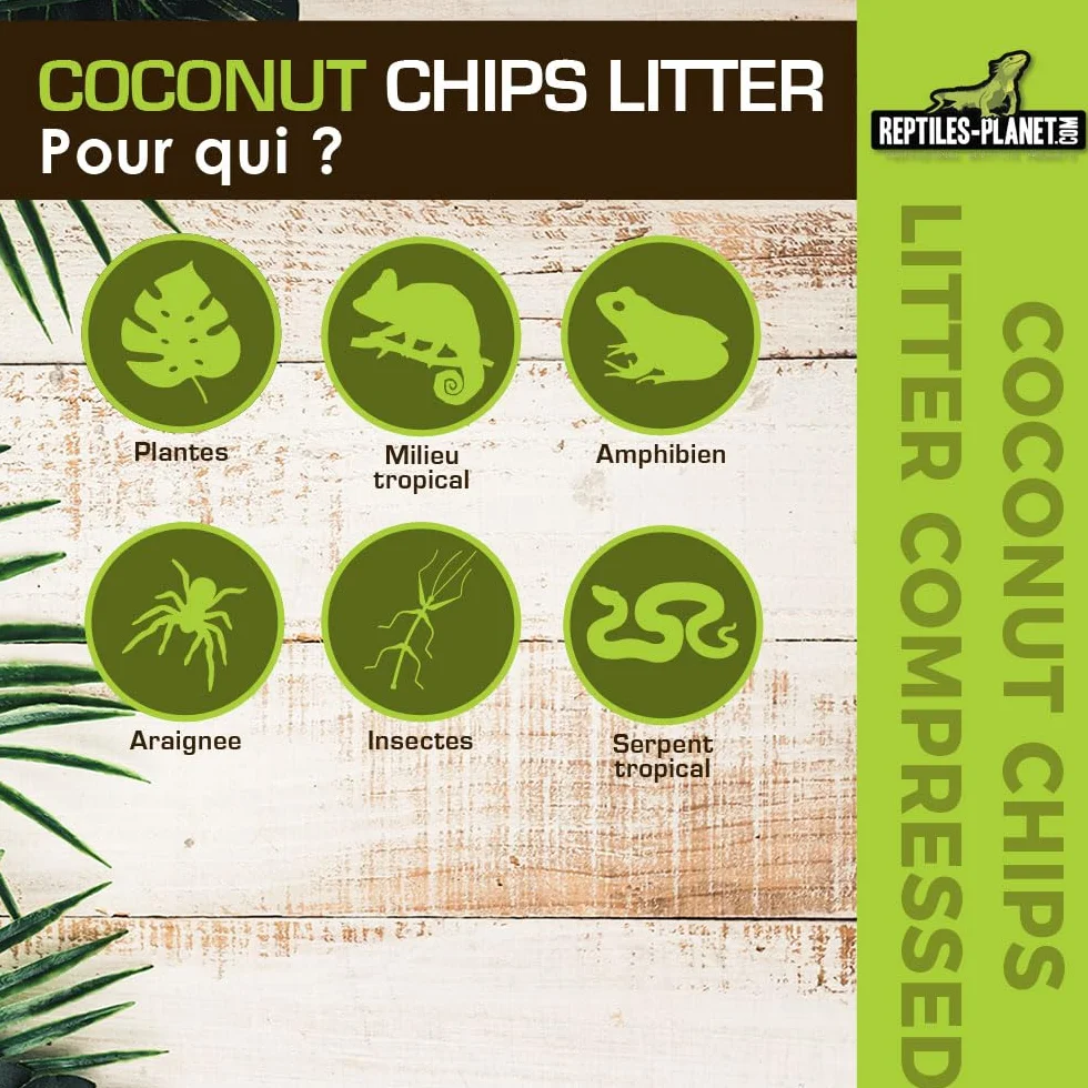 Reptiles Planet Coconut Chips Litter Substrat de Coco pour Terrarium 4,5 kg