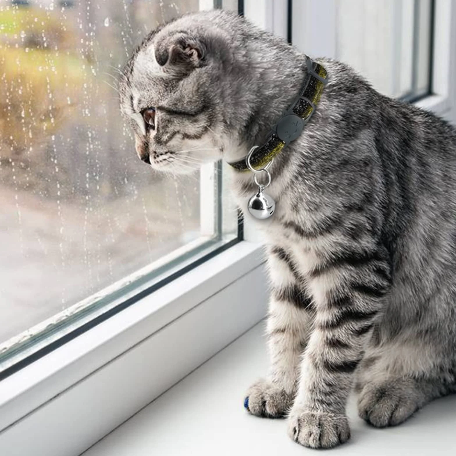 Collier Chat Personnalisable avec Médaille Gravée Anti Étranglement, Boucle Sécurité Réglable Rose
