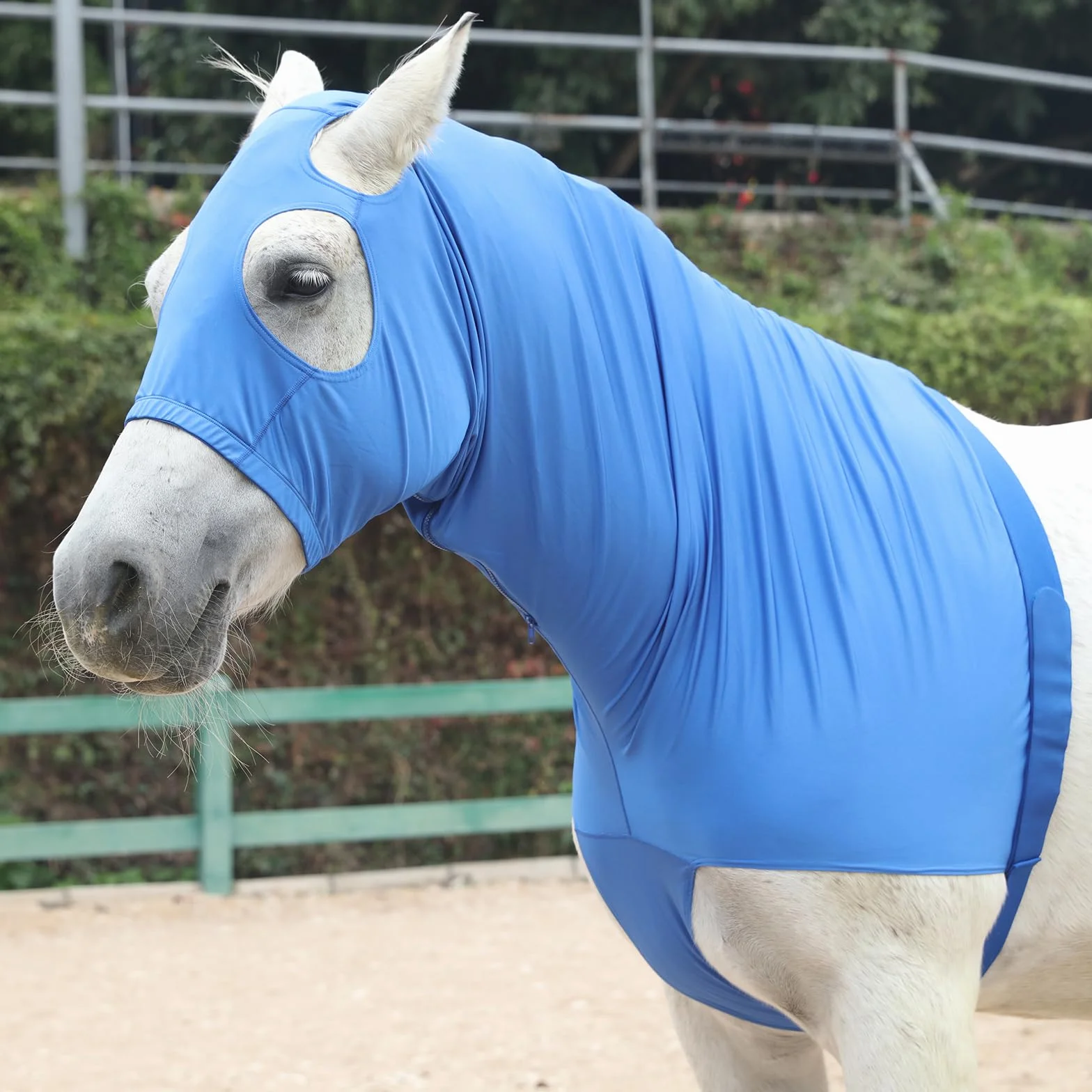 Mane Braid Capuche extensible pour cheval XXL Bleu bouclier anti-mouches fermeture éclair protection visage cou