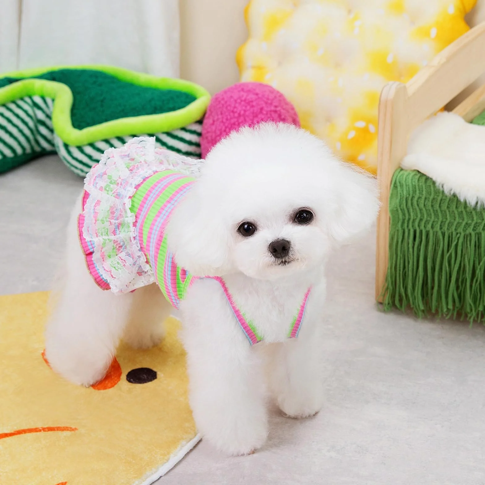 Winmany Vêtement d'été pour chien taille S vert