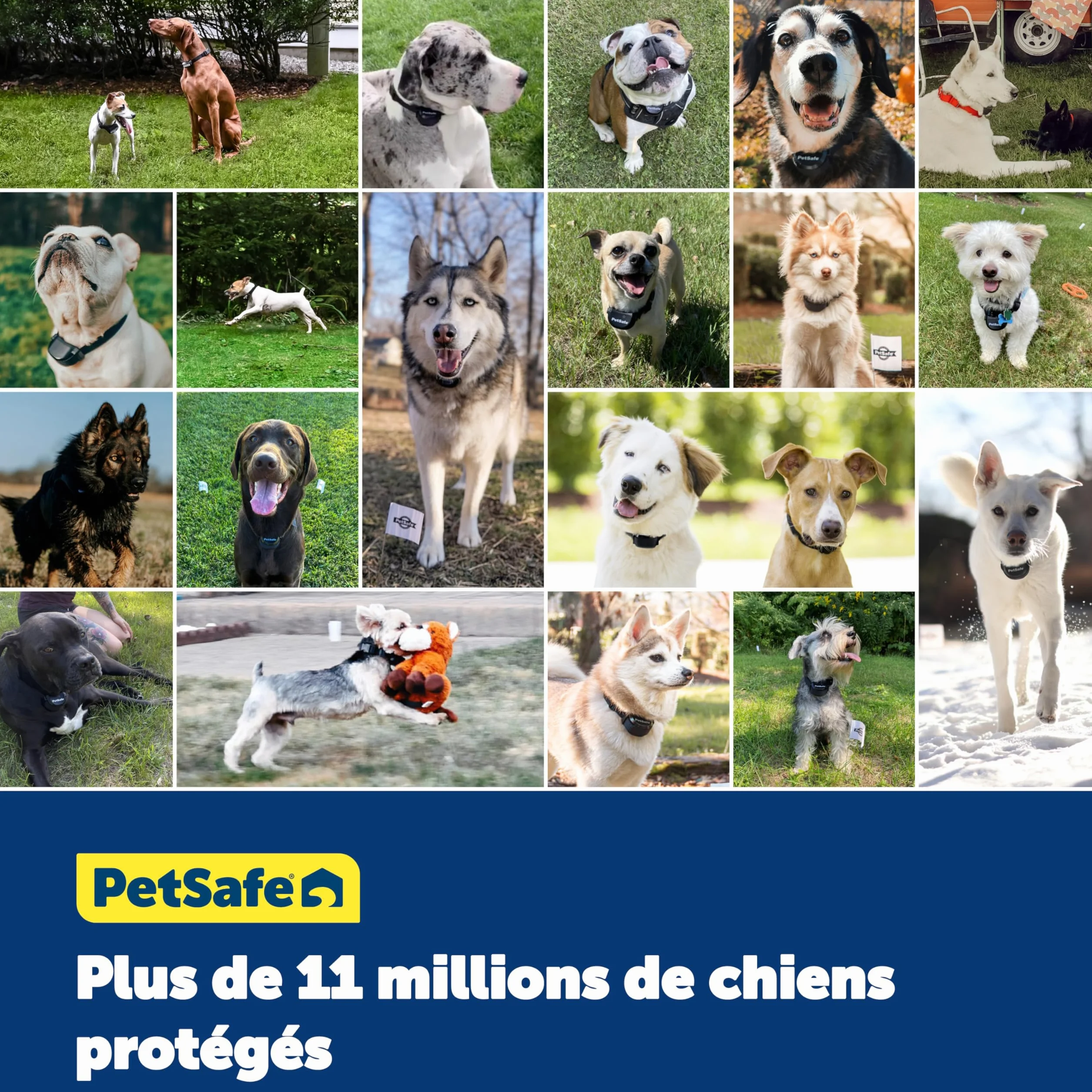 PetSafe Système de clôture enterré pour Chiens têtus Correction Statique Haute Intensité Modes Sonore Vibration Collier Ajustable Imperméable Design Évolutif