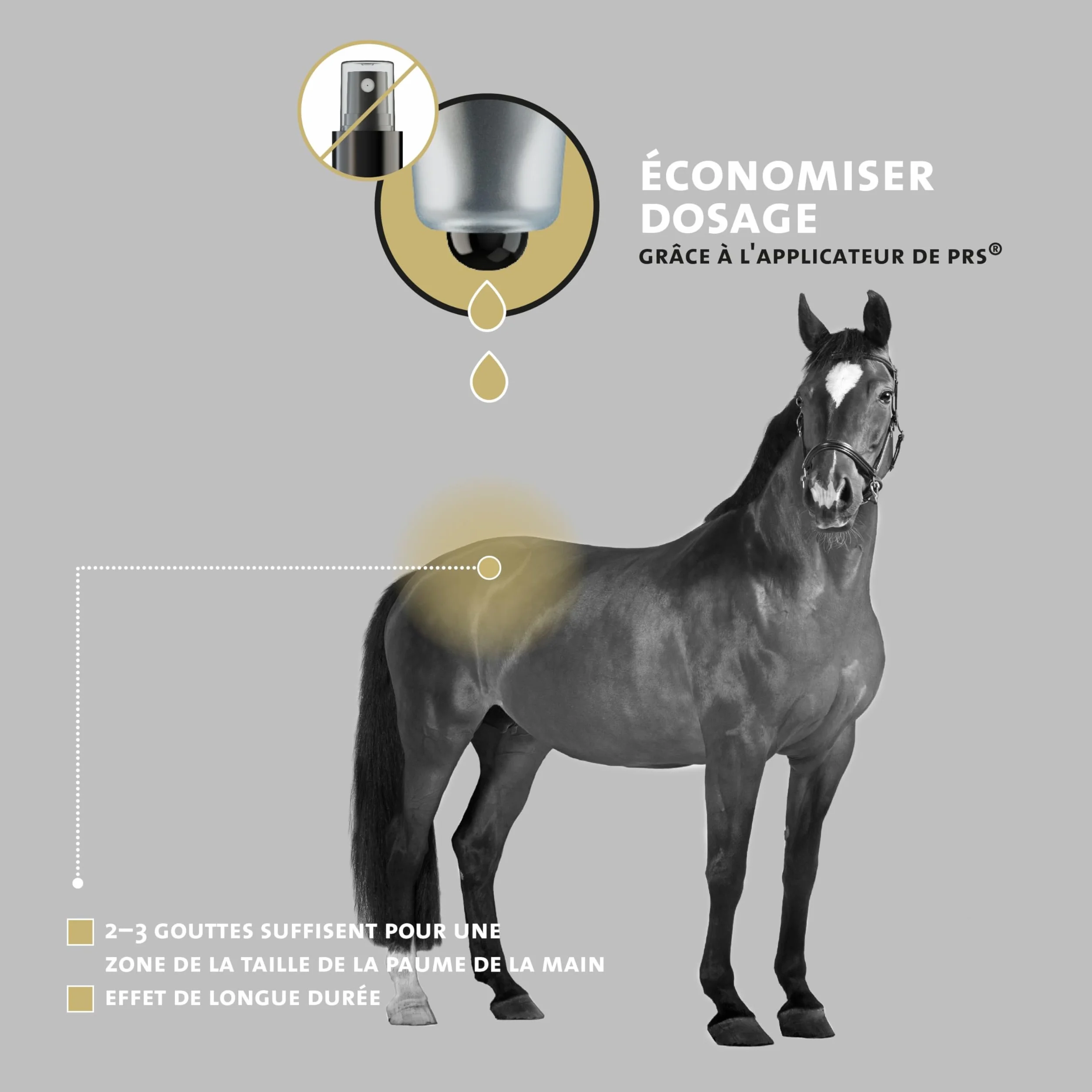 Peticare Lotion antiparasitaire pour Chevaux – PRS à libération prolongée – Contre acariens, puces, champignons