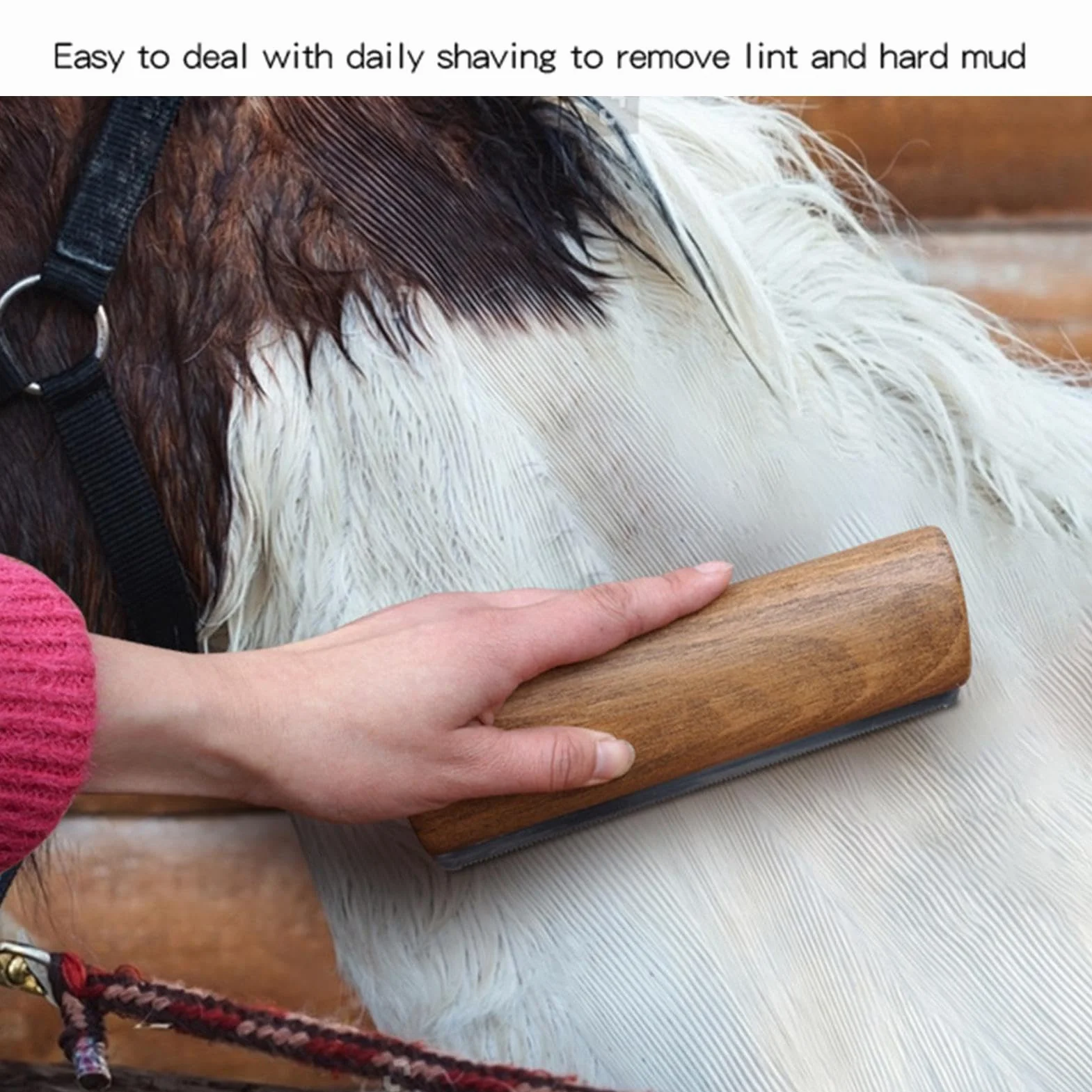 Brosses à cheval pour la mue en acier inoxydable avec manche en bois - Outil de délestage ergonomique
