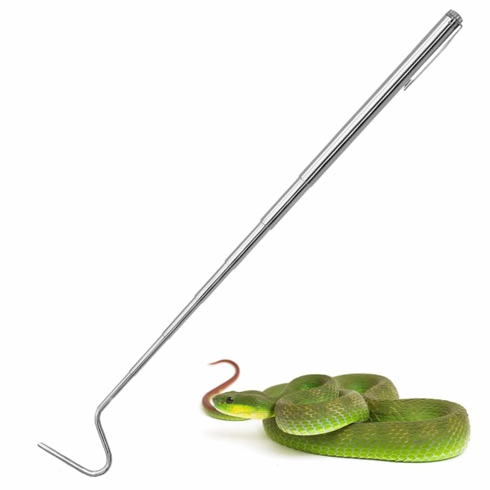Crochet télescopique en acier inoxydable pour reptiles