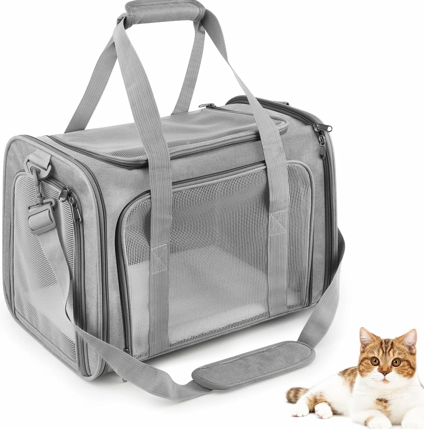 Sac Transport Chat, Sac Transport Chien d'Extérieur Pliable et Respirant, 45 x 30 x 30 cm, Caisse de Transport Chat avec Matelas Souple, Sac Chat Transport